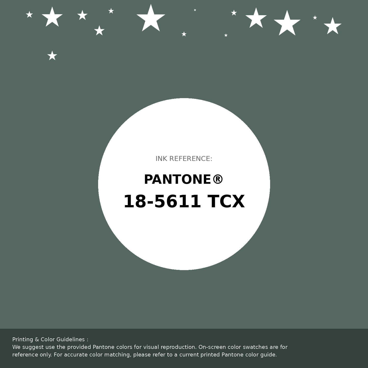 Hex Color #556962 — RGB, CMYK & HSL Color Values | iColorPalette
