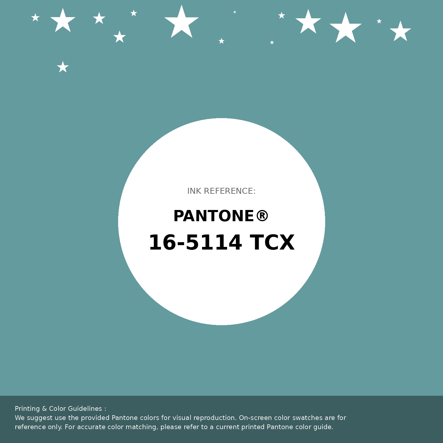 Hex Color #649b9e | Printing Match PANTONE 16-5114 TCX | Color