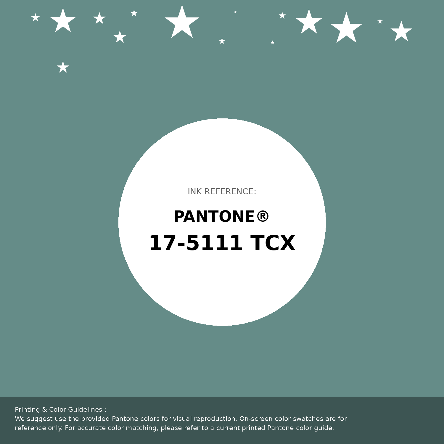 Hex Color #658c88 | Printing Match PANTONE 17-5111 TCX | Color