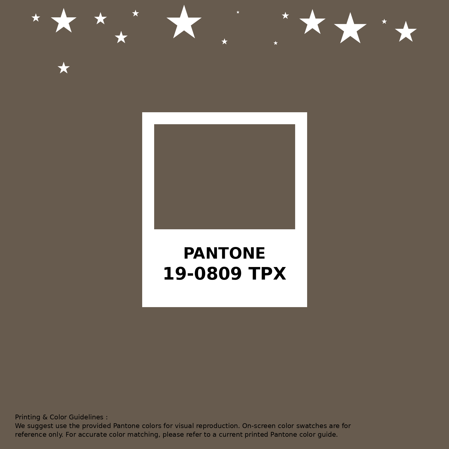 Pantone color chips & guide セット PANTONE® USA | Pantone Solid Chips | Coated & Uncoated