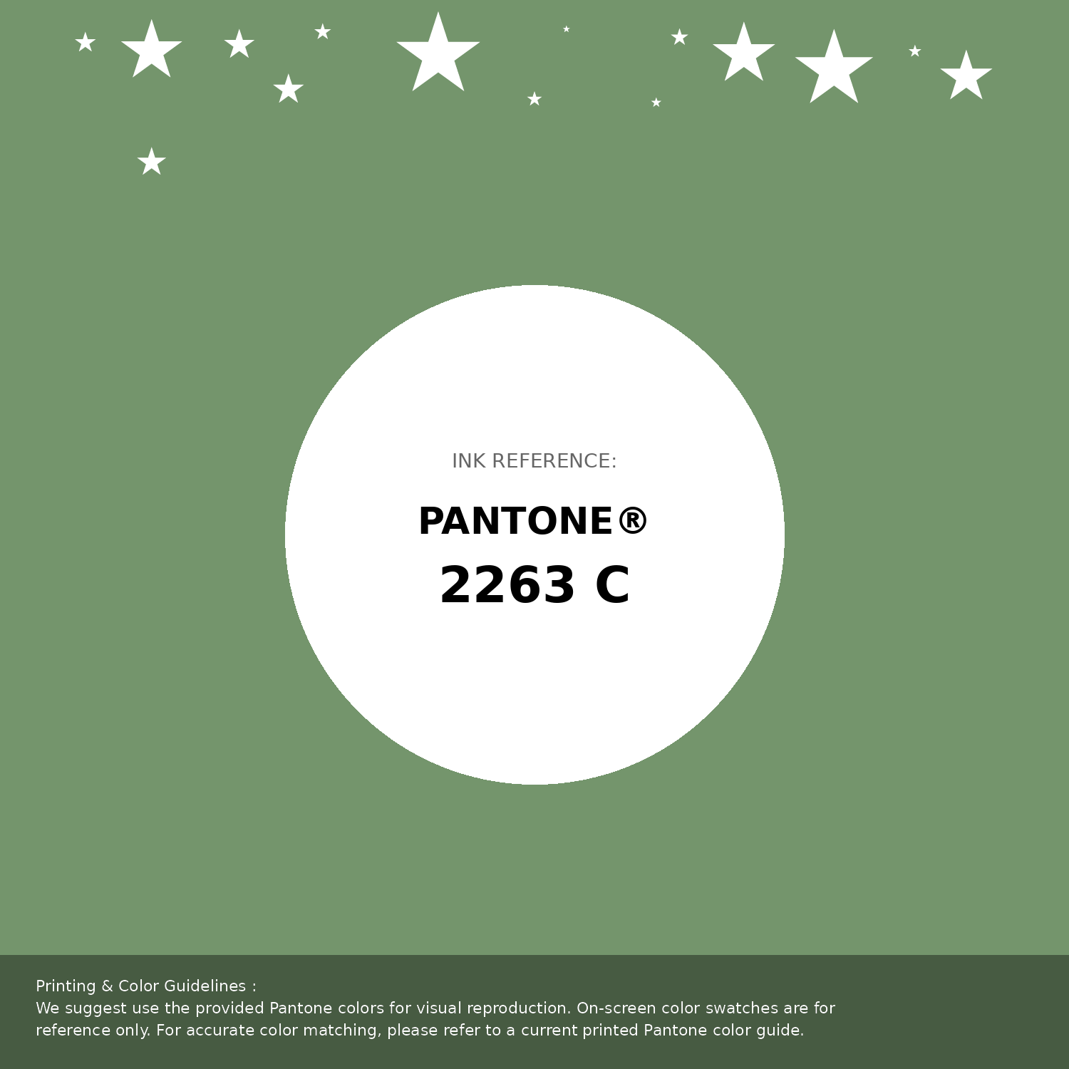 Hex Color #74956c | Printing Match PANTONE 2263 C | Color
