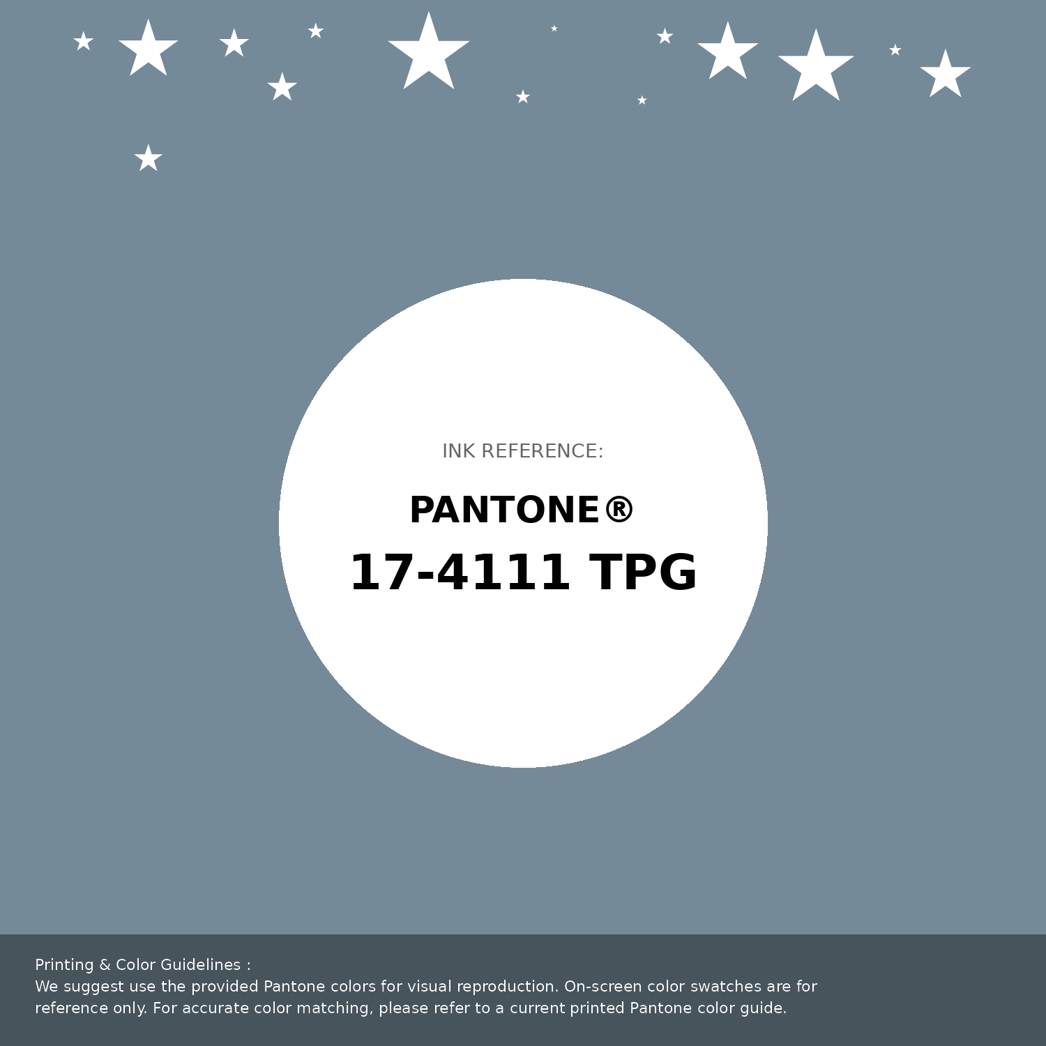 Beautiful Pantone swatch artwork featuring Pantone 17-4111 Tpg Citadel Color | Hex color Code #758a98. Professional color swatch design perfect for designers and color enthusiasts. #pantone #colorswatch #designresource #758a98