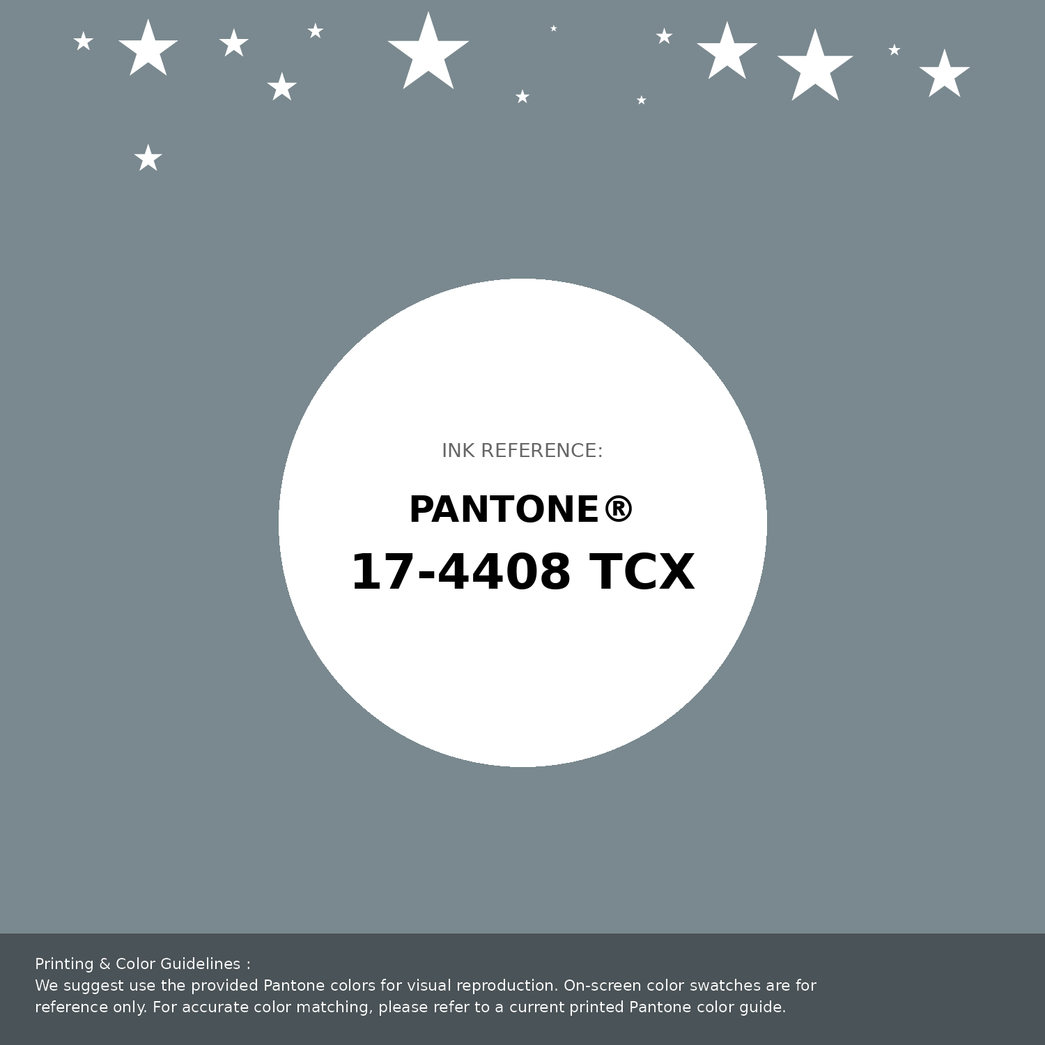 Hex Color #7a898f | Printing Match PANTONE 17-4408 TCX | Color