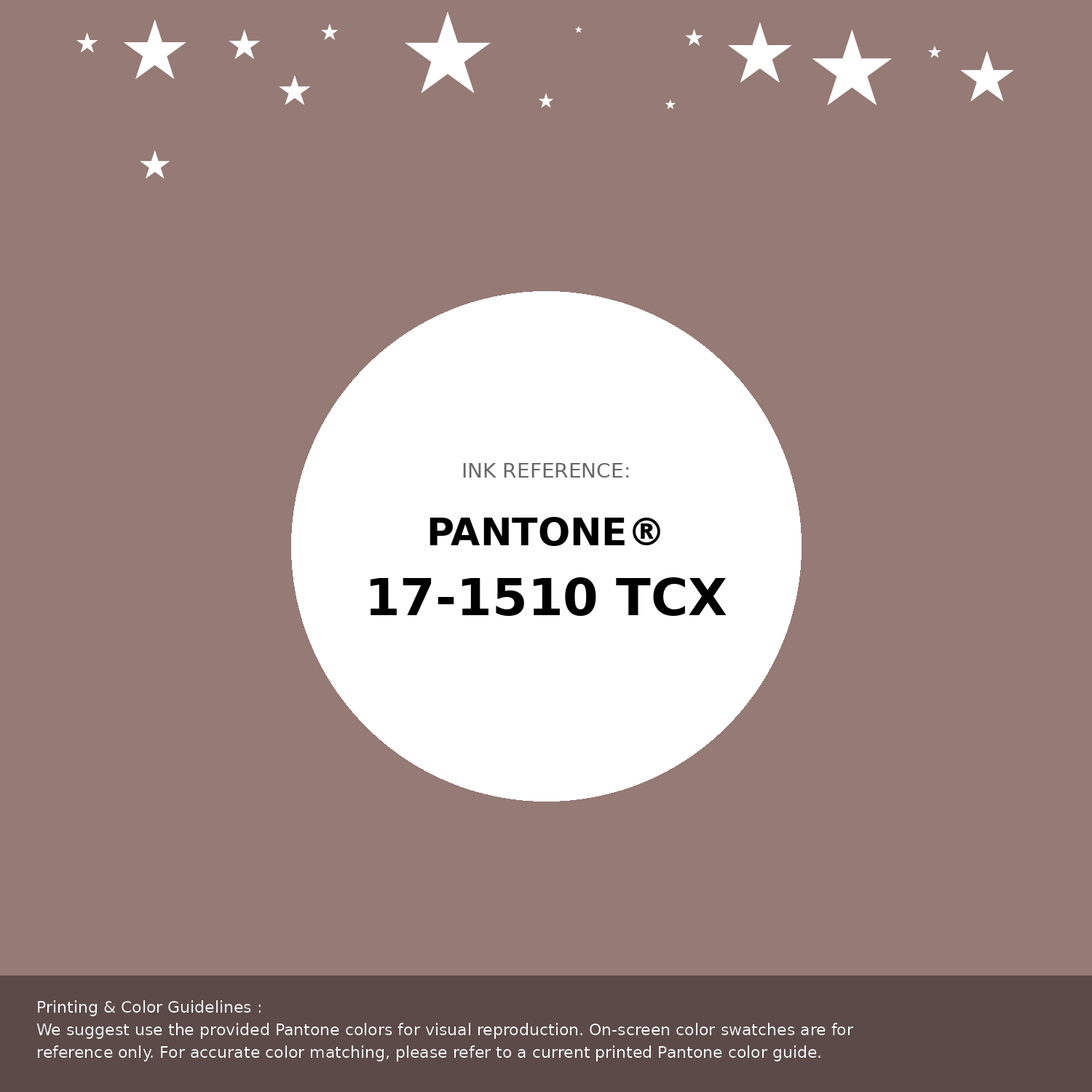 Hex Color #957a76 | Printing Match PANTONE 17-1510 TCX | Color