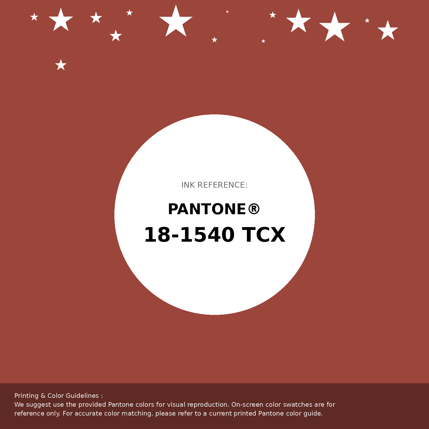 Hex Color #9c453b | Printing Match PANTONE 18-1540 TCX | Color