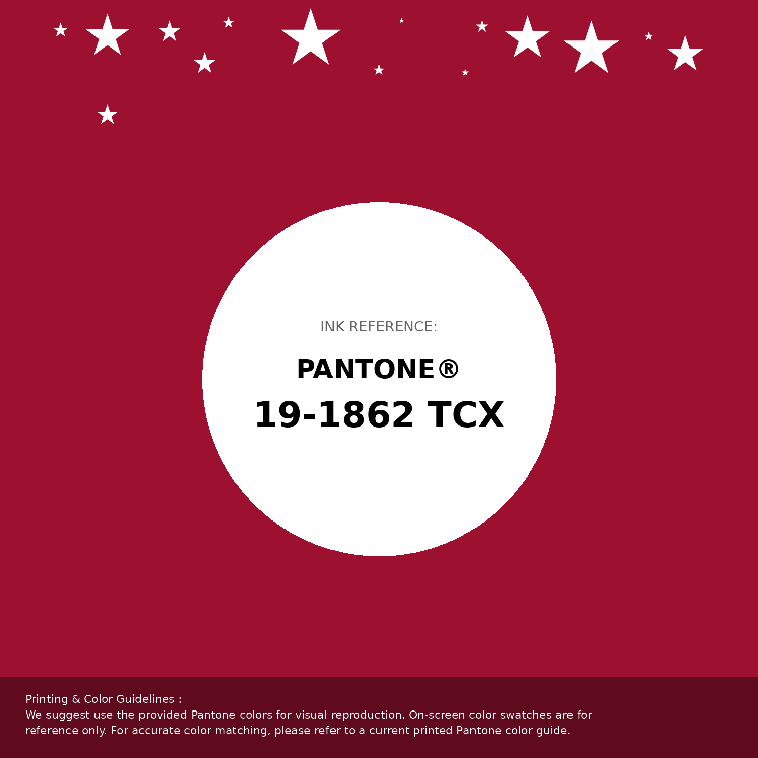 Hex Color #9e1030 | Pantone PANTONE 19-1862 TCX | Hsl | Rgb
