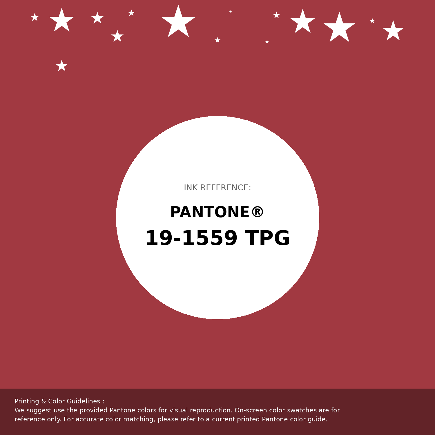 A13941 Hex Code (Vintage Red Shade) — RGB, CMYK & HSL Color Values