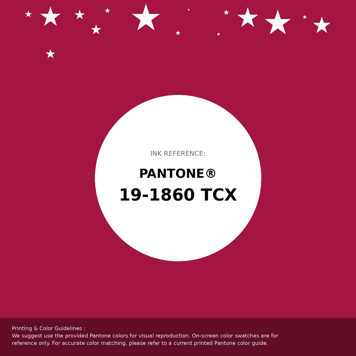 Hex Color #a21441 | Printing Match PANTONE 19-1860 TCX | Color
