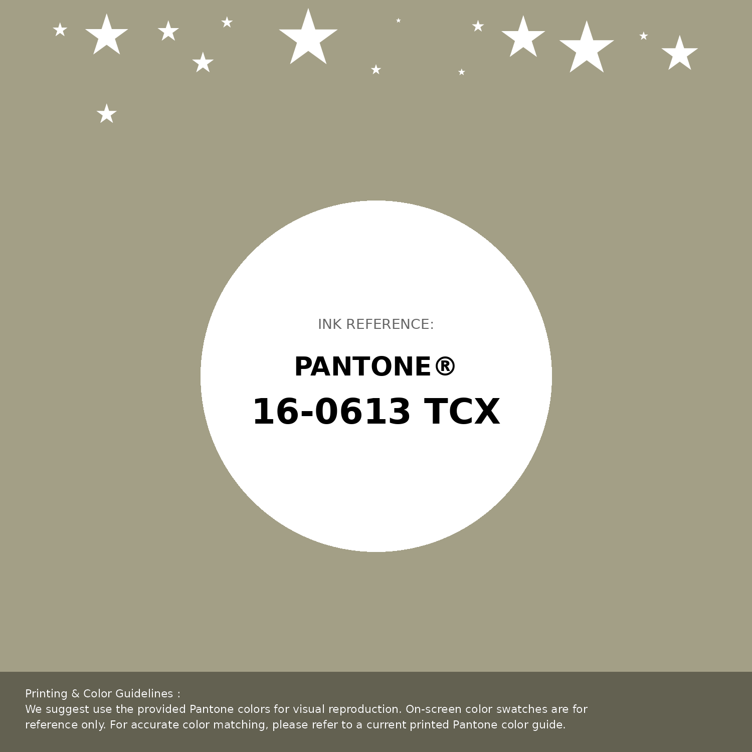 Hex Color #a39f86 | Printing Match PANTONE 16-0613 TCX | Color