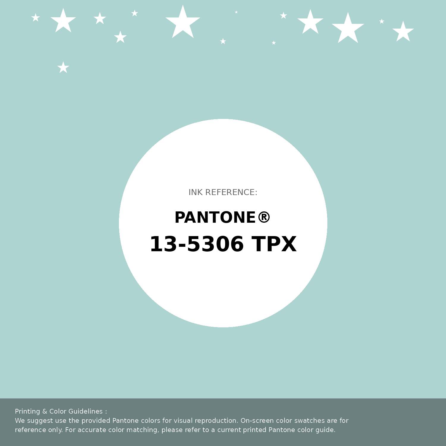 Beautiful Pantone swatch artwork featuring Pantone 13-5306 Tpx Icy Morn Color | Hex color Code #aed4d2. Professional color swatch design perfect for designers and color enthusiasts. #pantone #colorswatch #designresource #aed4d2