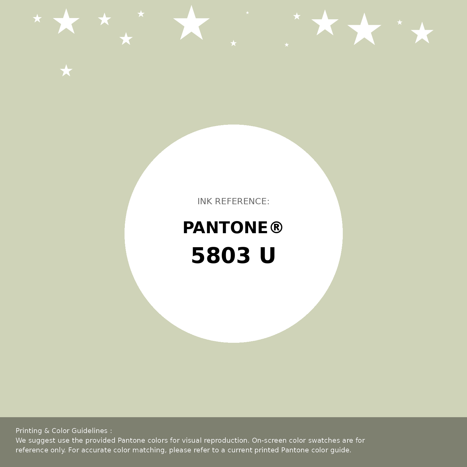 Hex Color #cfd3b8 | Printing Match PANTONE 5803 U | Color conversion ...