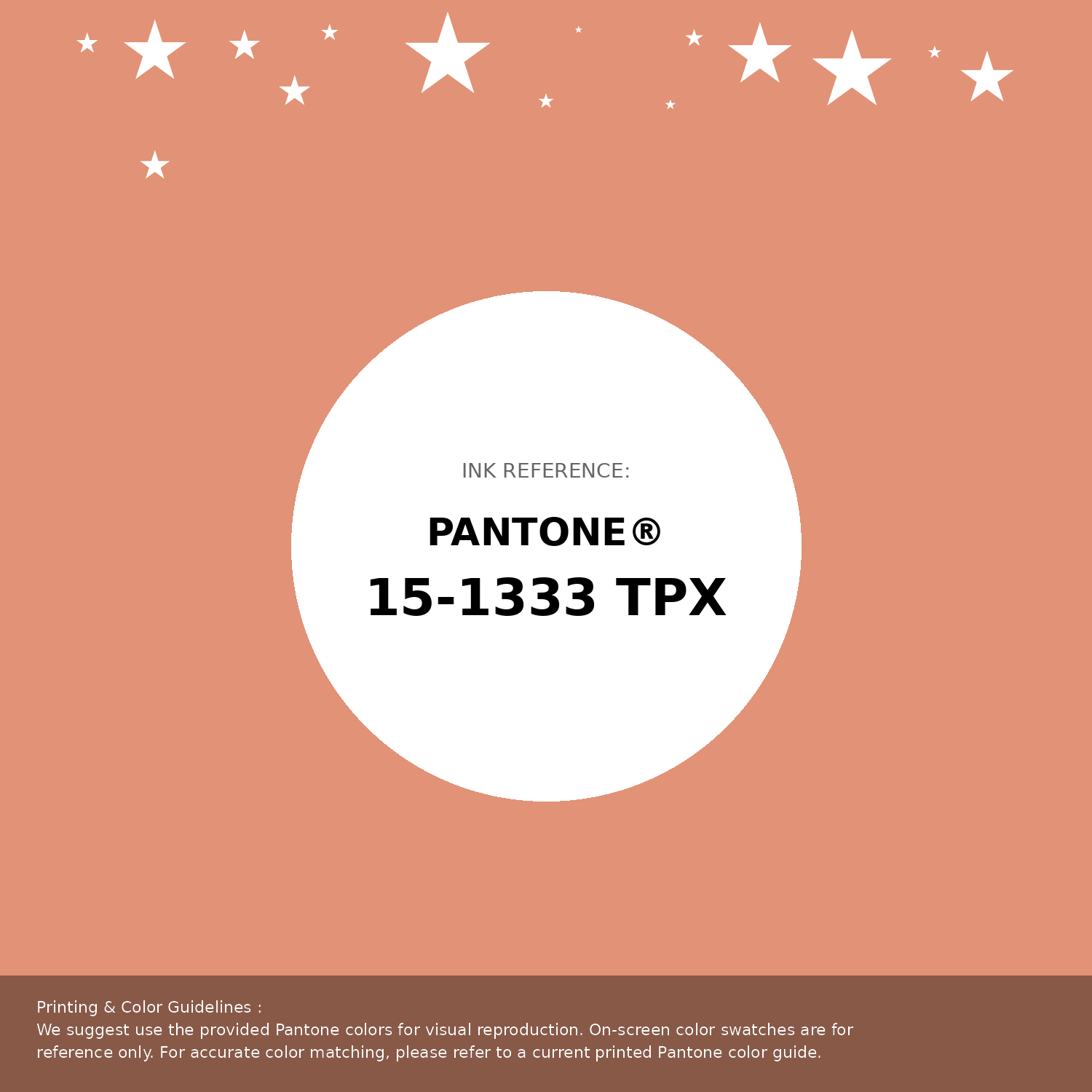 Beautiful Pantone swatch artwork featuring Pantone 15-1333 Tpx Canyon Sunset Color | Hex color Code #e29276. Professional color swatch design perfect for designers and color enthusiasts. #pantone #colorswatch #designresource #e29276