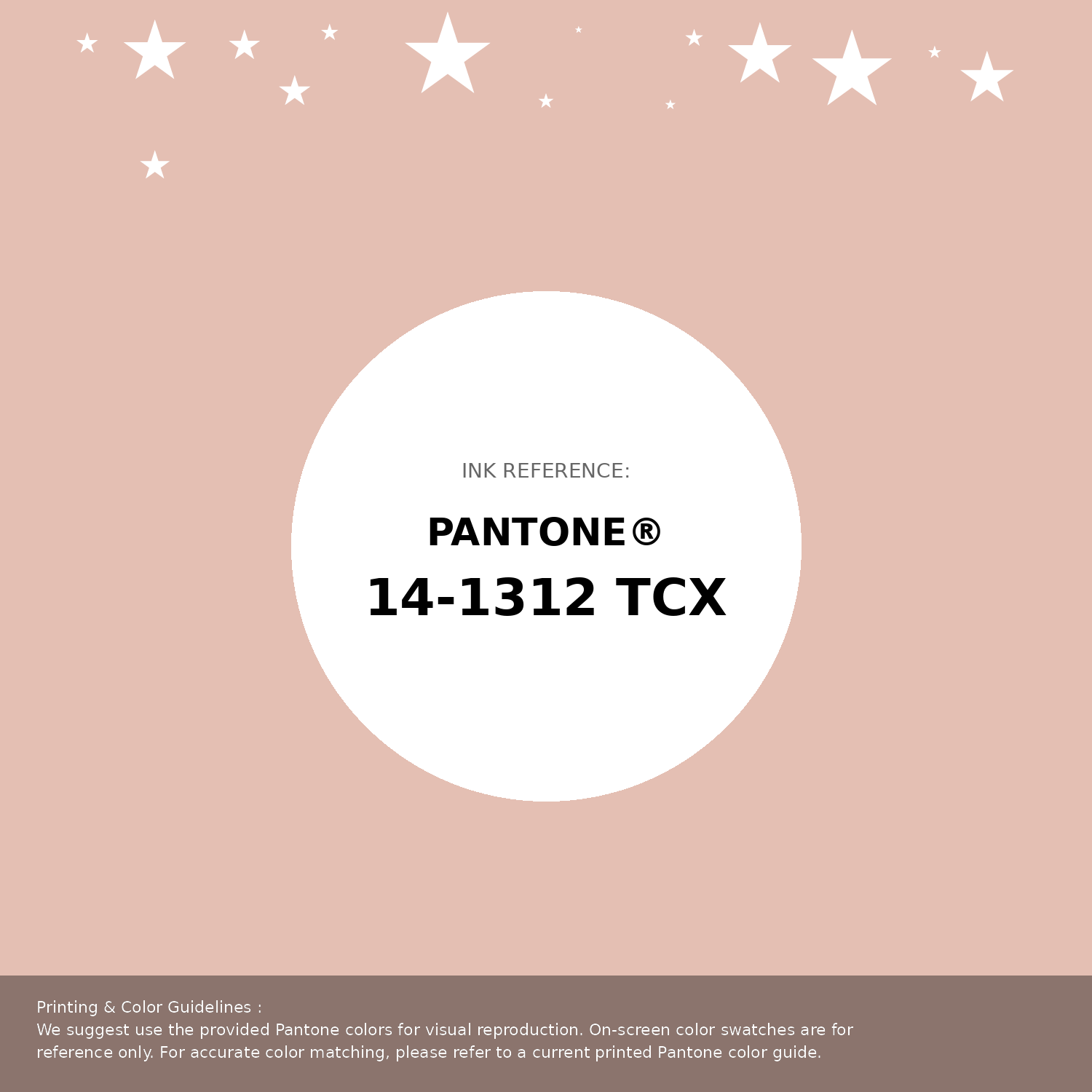 Hex Color #e4bfb3 | Pantone PANTONE 14-1312 TCX | Hsl | Rgb