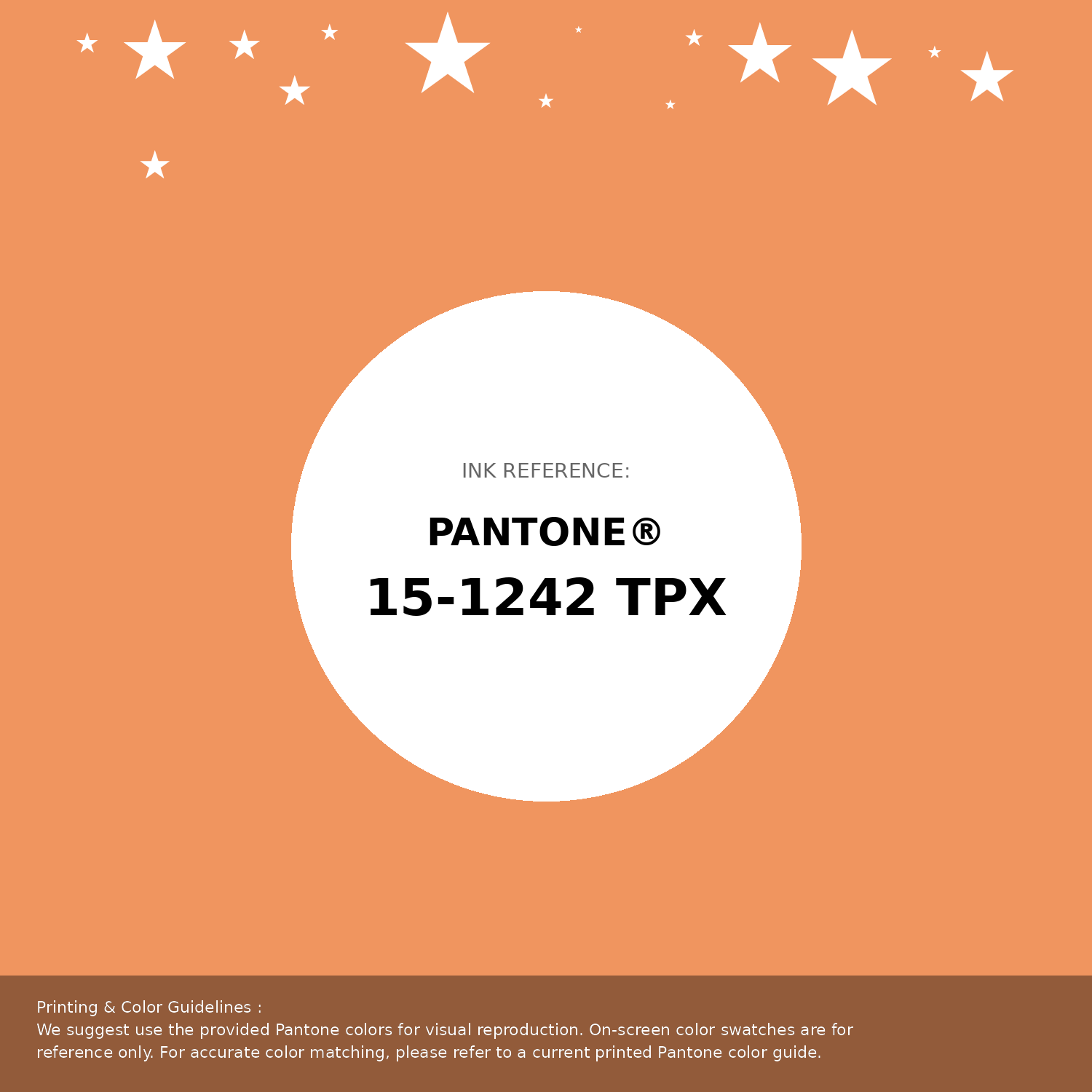 Beautiful Pantone swatch artwork featuring Pantone 15-1242 Tpx Muskmelon Color | Hex color Code #f0955f. Professional color swatch design perfect for designers and color enthusiasts. #pantone #colorswatch #designresource #f0955f