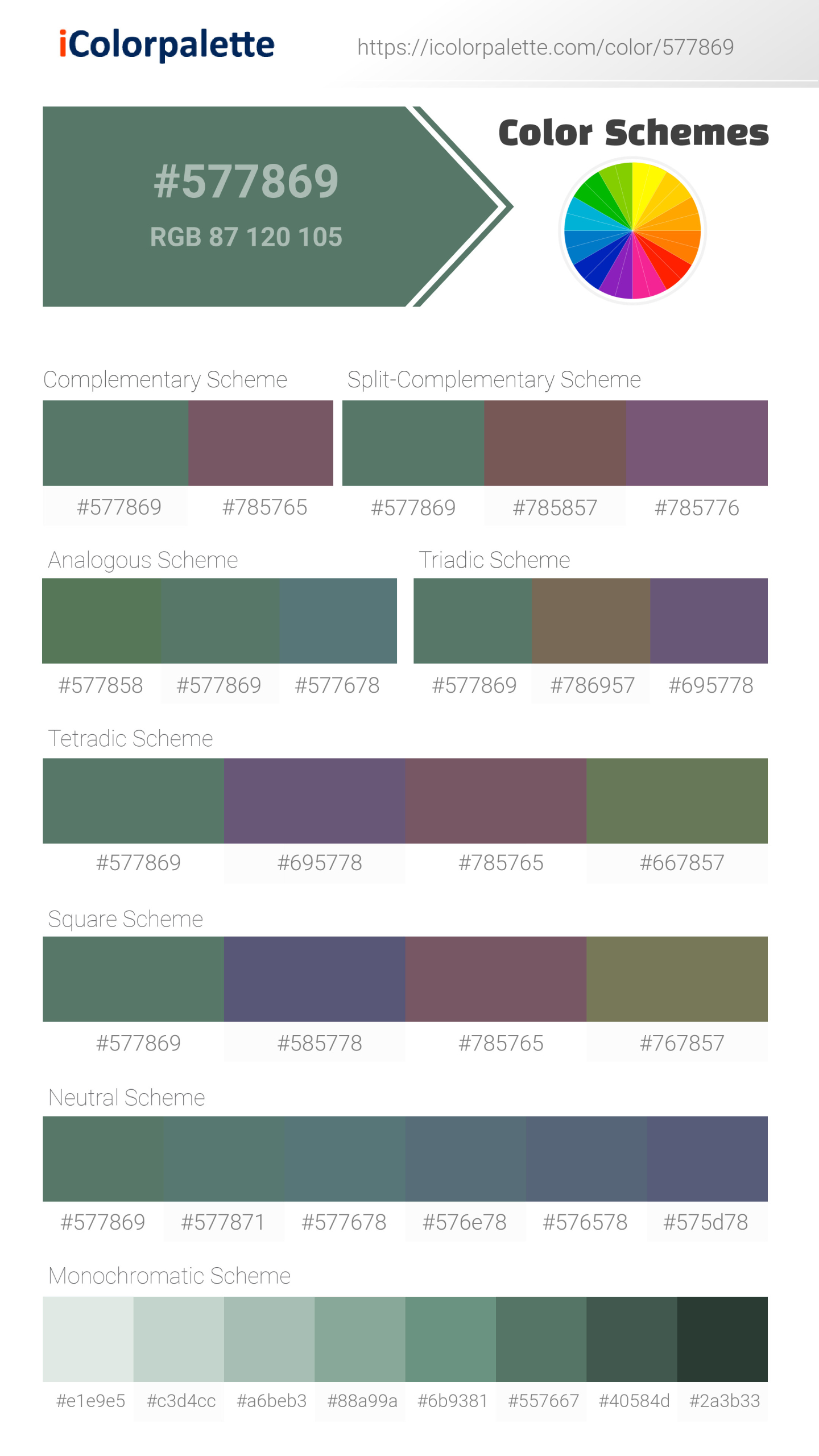 Beautiful color schemes for Pantone 8501 C Color | Hex color Code #577869. Includes complementary, analogous, and triadic combinations ready for your design projects. #colorpalette #colorscheme #graphicdesign #577869