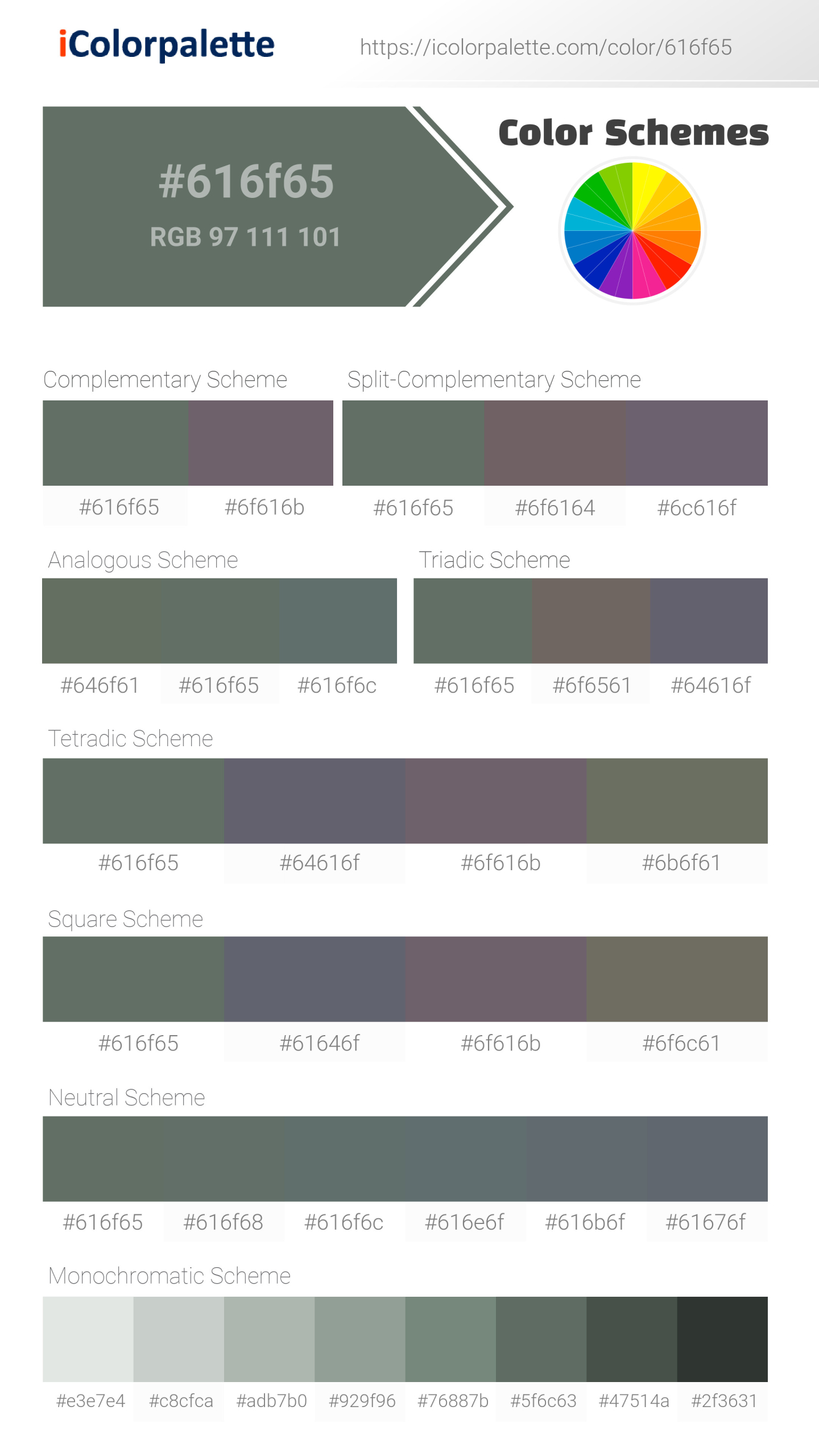 #616f65 Color Schemes Image