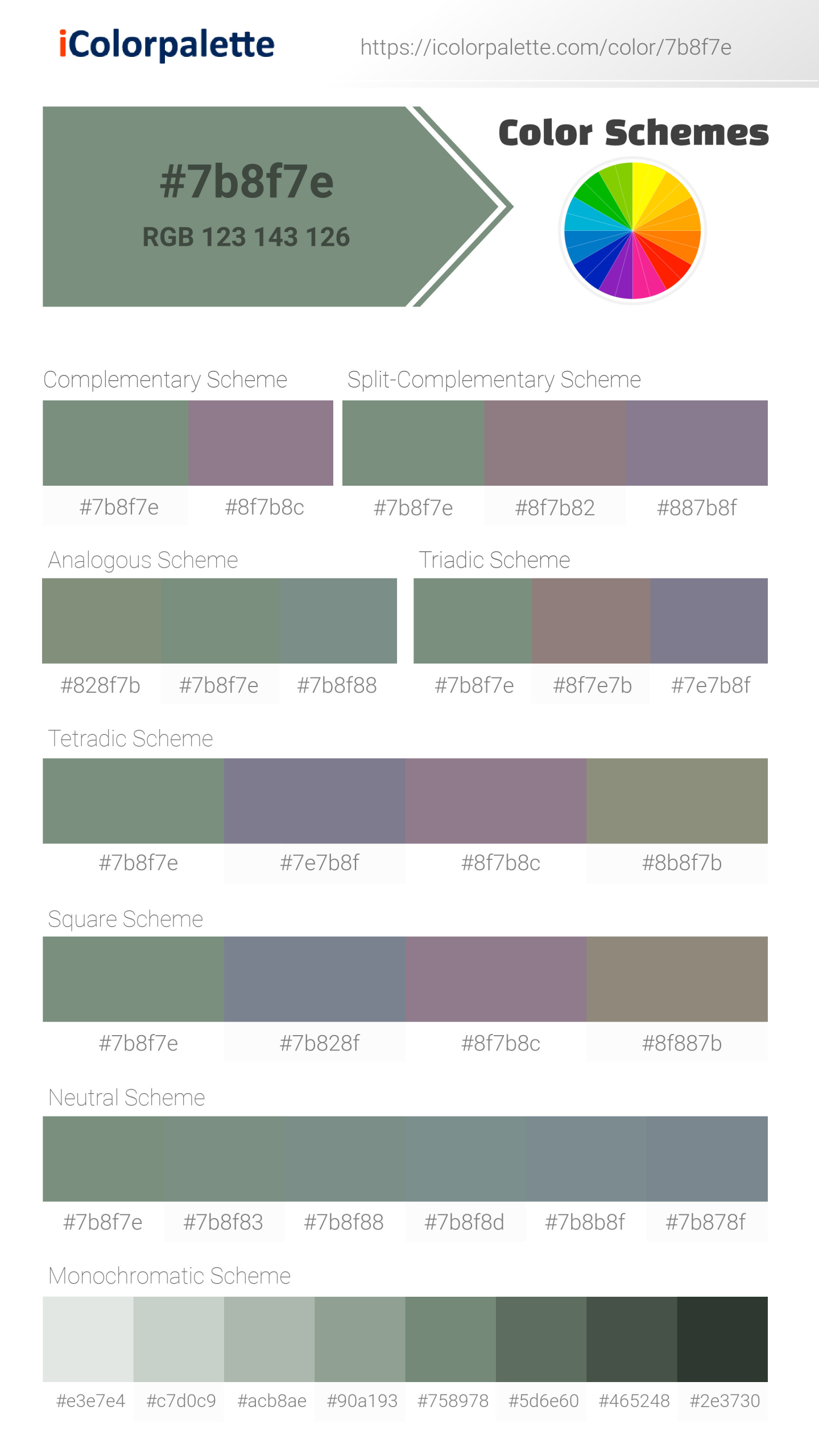 #7b8f7e Color Schemes Image