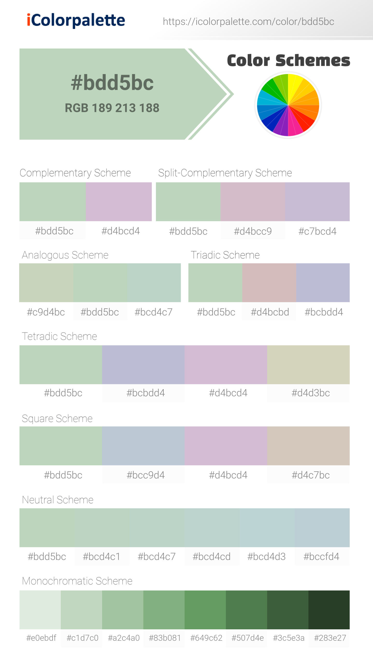 Beautiful color schemes for Pantone 13-6007 Tpg Spray Color | Hex color Code #bdd5bc. Includes complementary, analogous, and triadic combinations ready for your design projects. #colorpalette #colorscheme #graphicdesign #bdd5bc