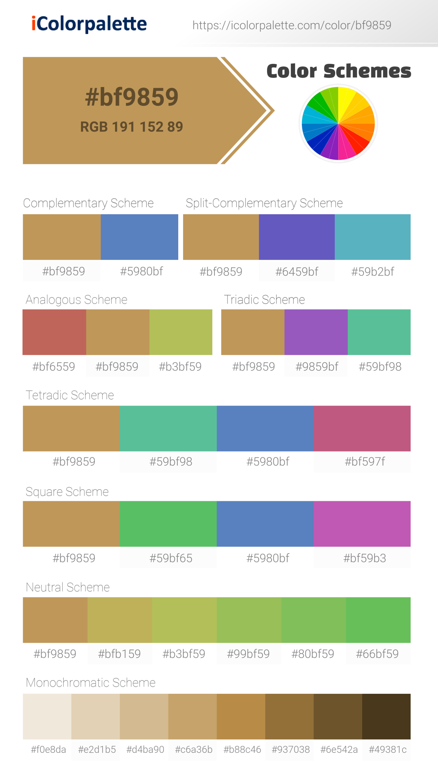 Beautiful color schemes for Pantone P 18-13 C Color | Hex color Code #bf9859. Includes complementary, analogous, and triadic combinations ready for your design projects. #colorpalette #colorscheme #graphicdesign #bf9859