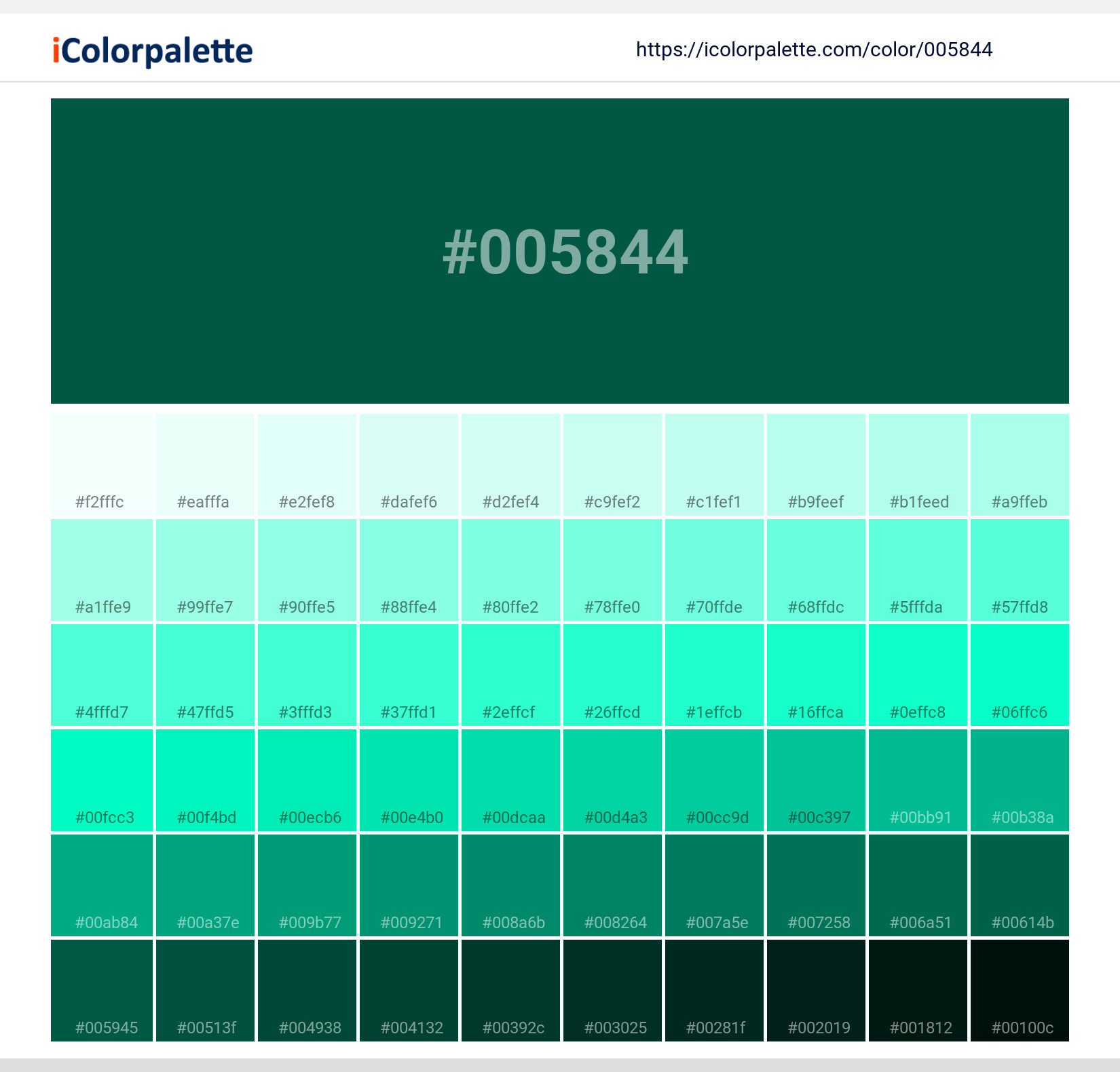 Pantone 7729 C Color | Hex color Code #005844 information | Hsl | Rgb ...