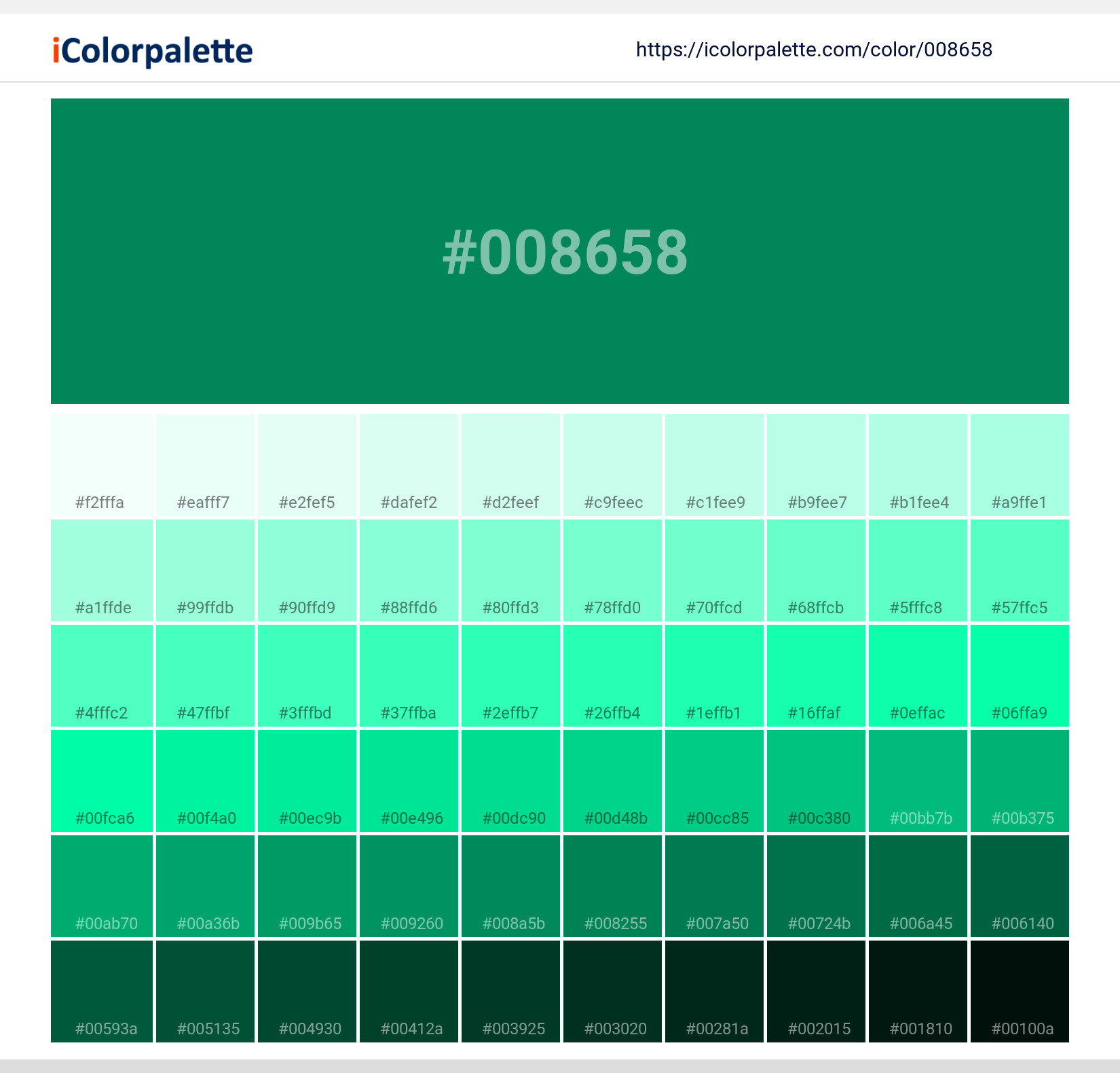 #008658 Solid Color Image