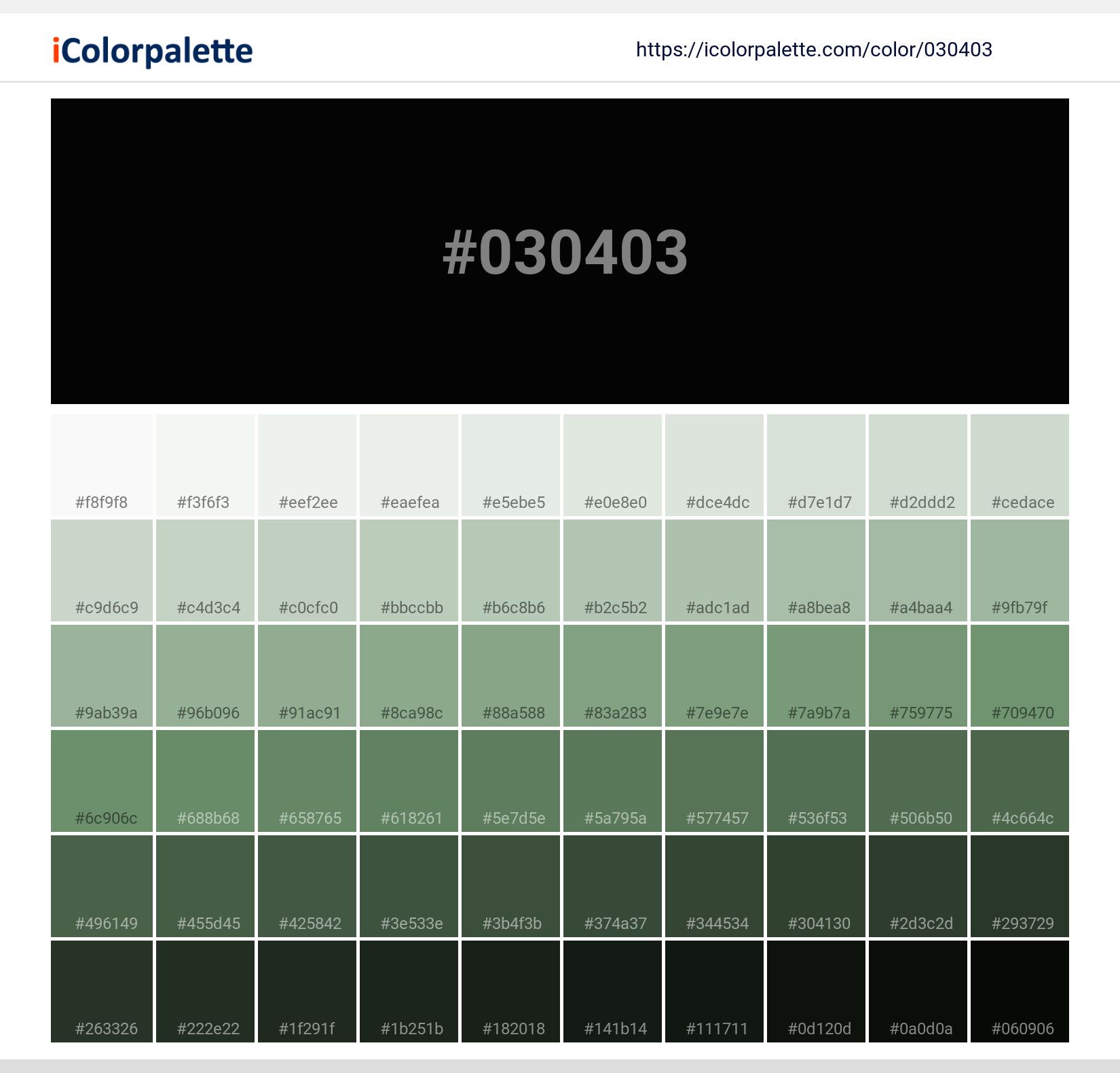 #030403 Solid Color Image