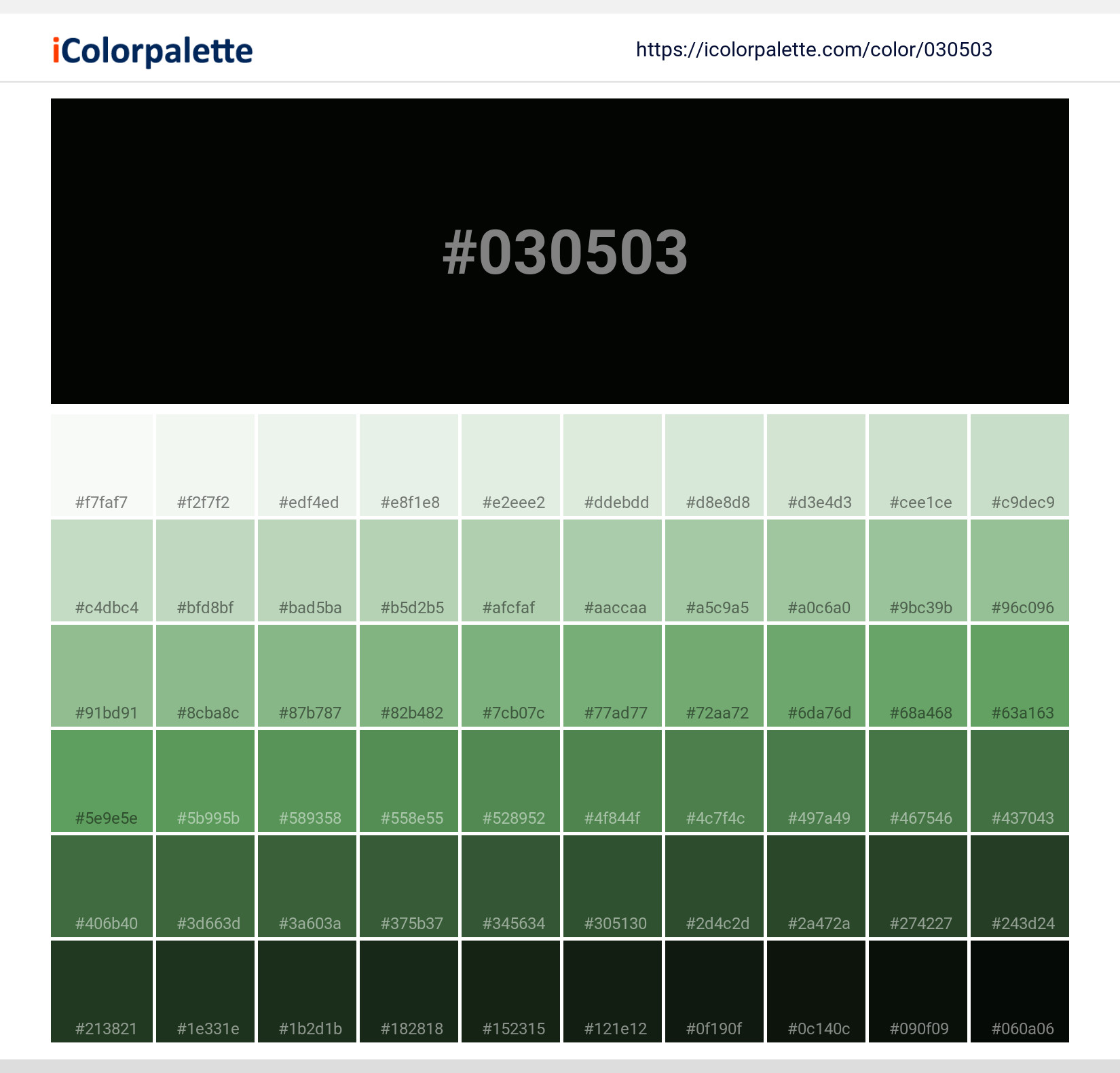 #030503 Solid Color Image