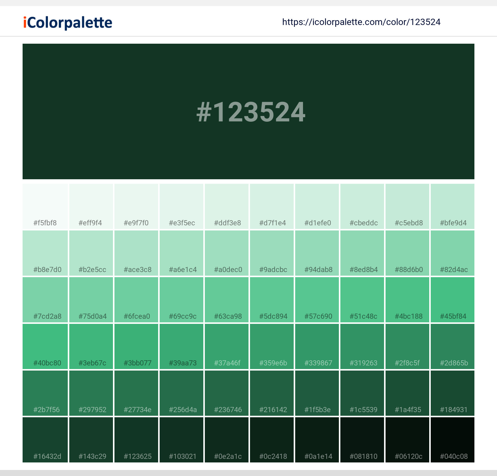 pantone 627  Forest green paint color, Dark green aesthetic