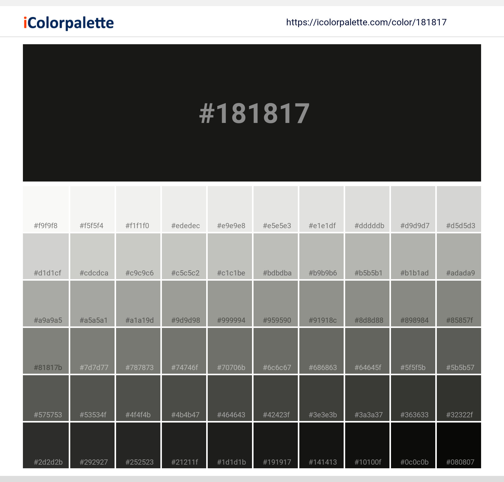 #181817 Solid Color Image