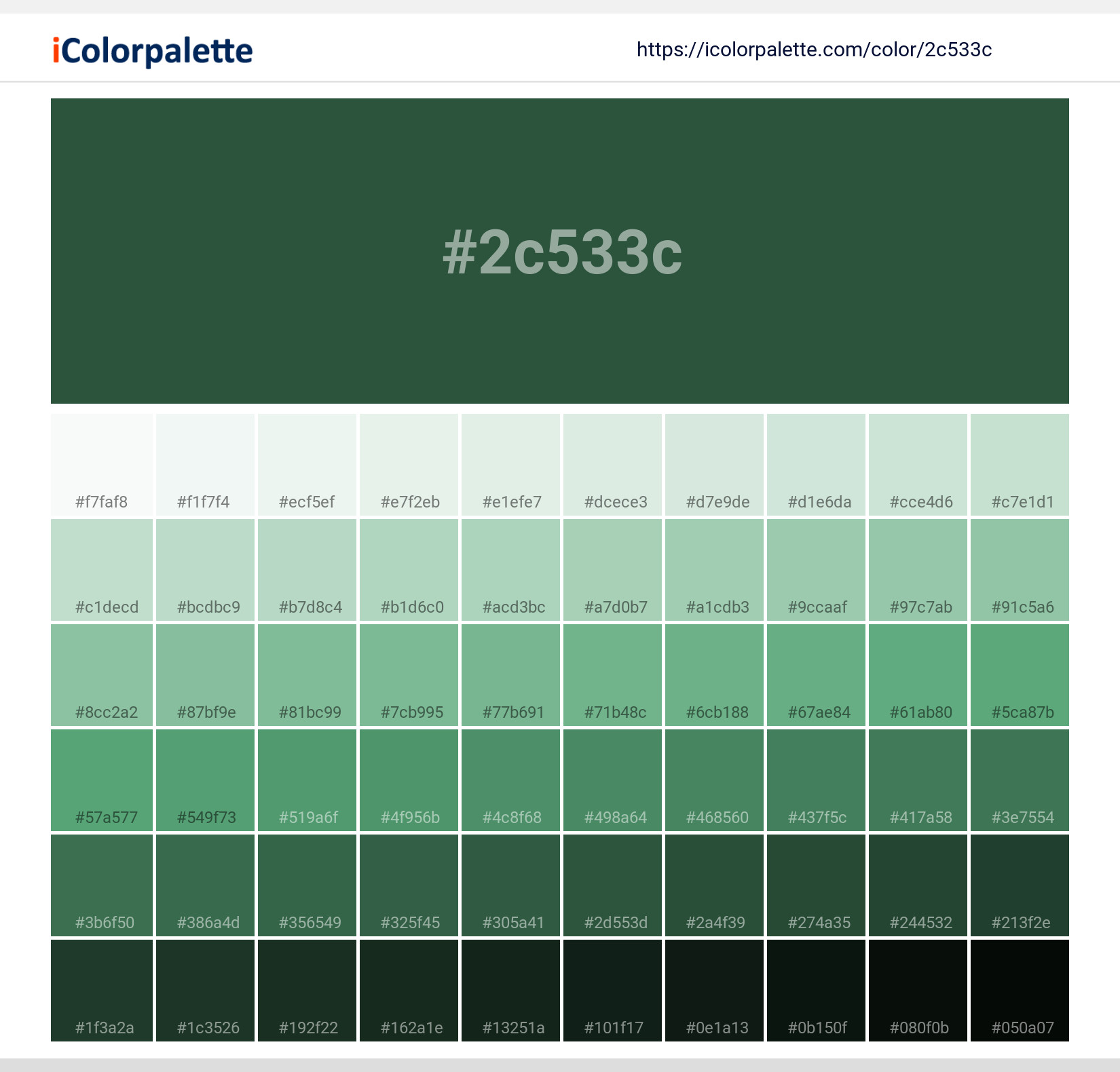 Explore a full range of light and dark shades for Pantone 19-6050 Tpx Eden Color | Hex color Code #2c533c. Perfect for finding the exact tint or tone for your artwork or UI design. #colorshades #colorinspiration #webdesign #2c533c