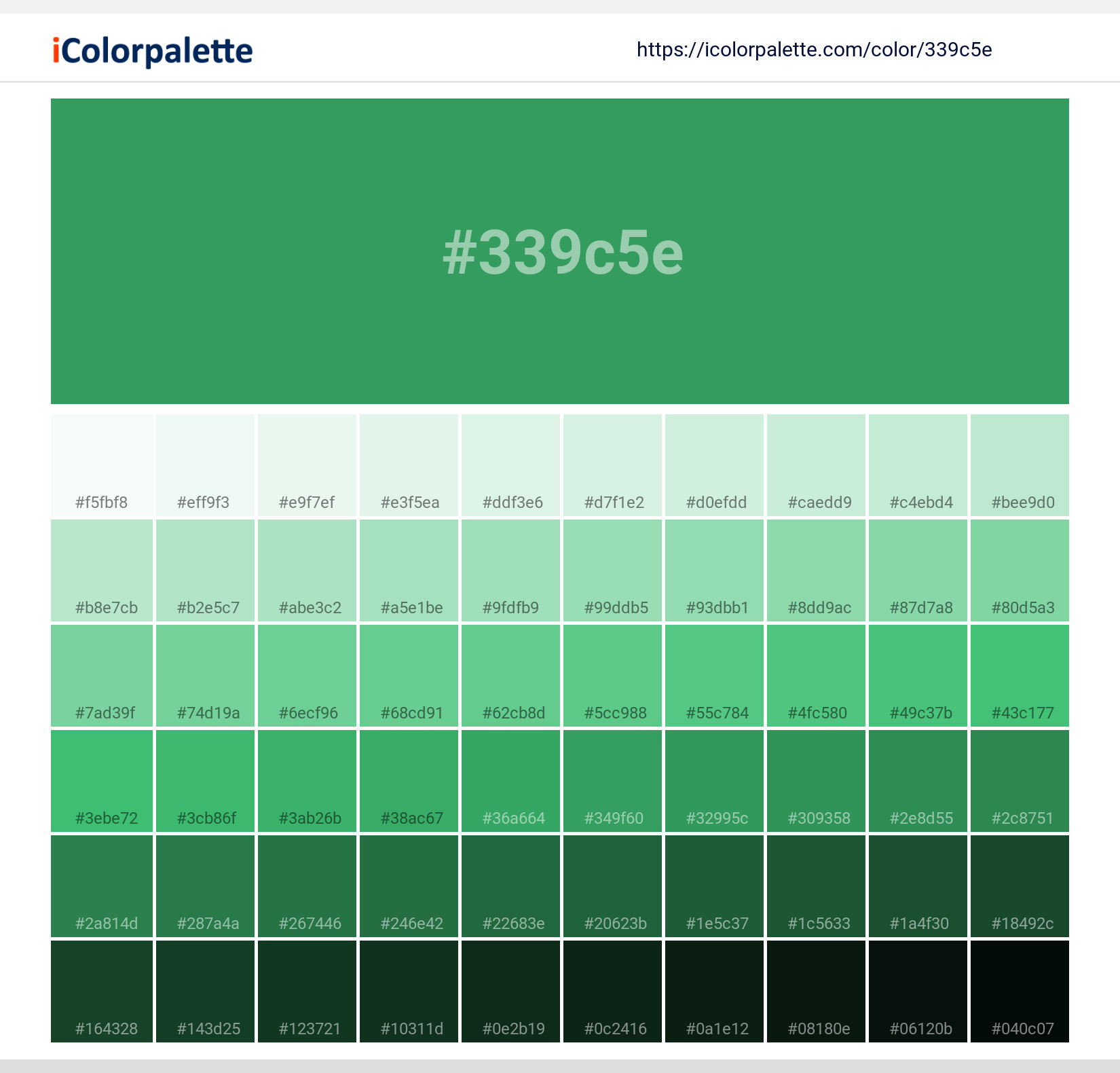 Philadelphia Eagles Color Codes - Color Codes in Hex, Rgb, Cmyk, Pantone