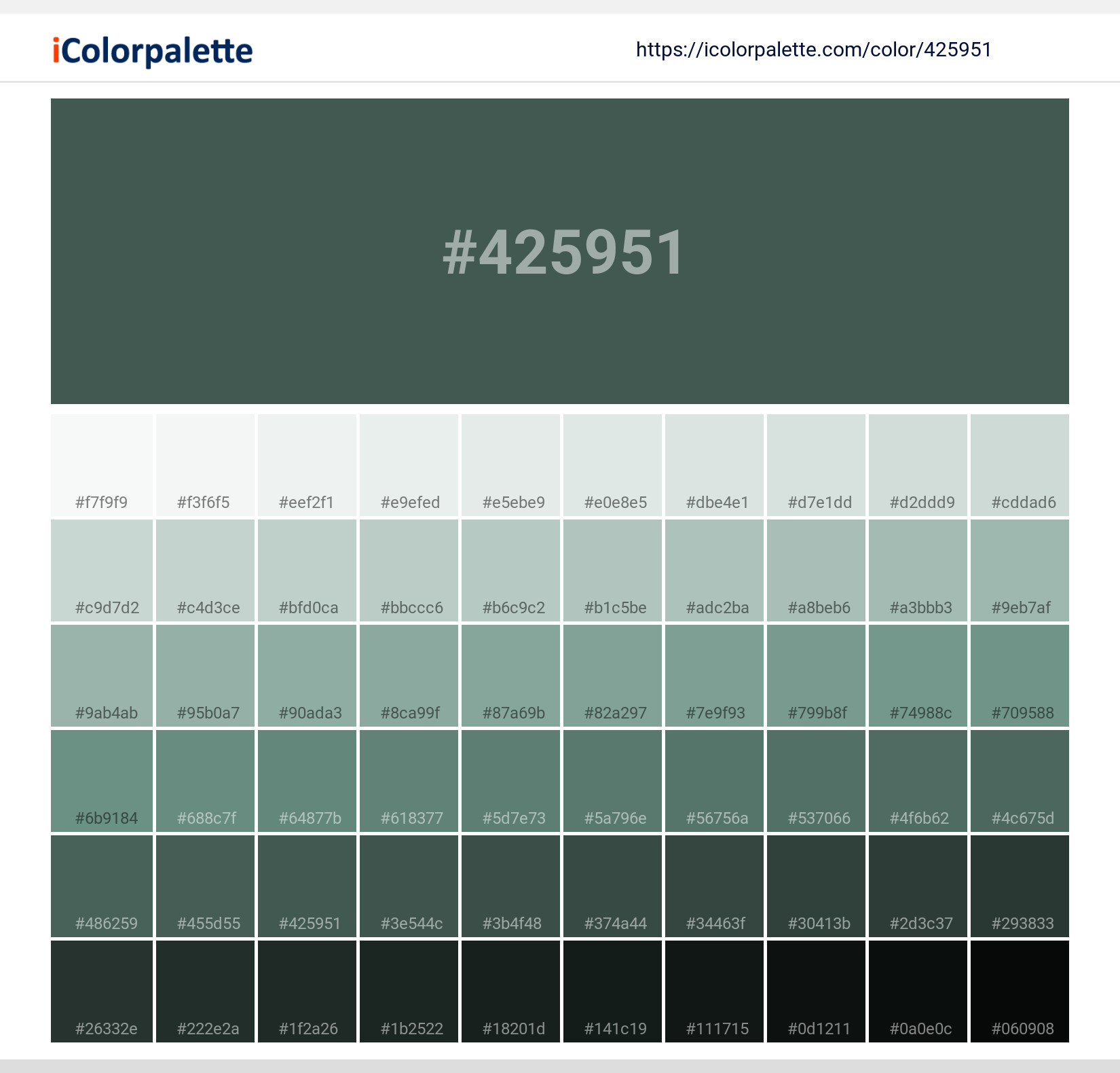 pantone 627  Forest green paint color, Dark green aesthetic