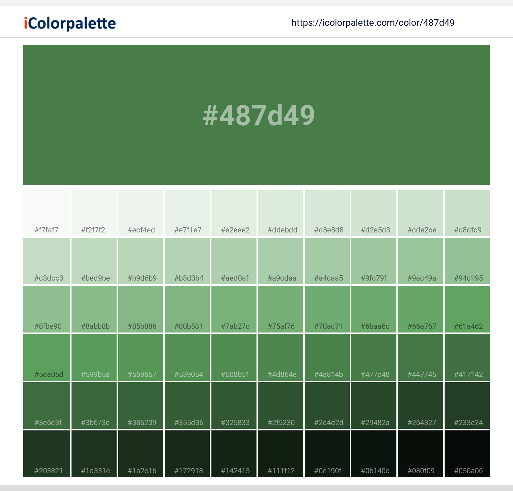 487d49 Color Shades 
