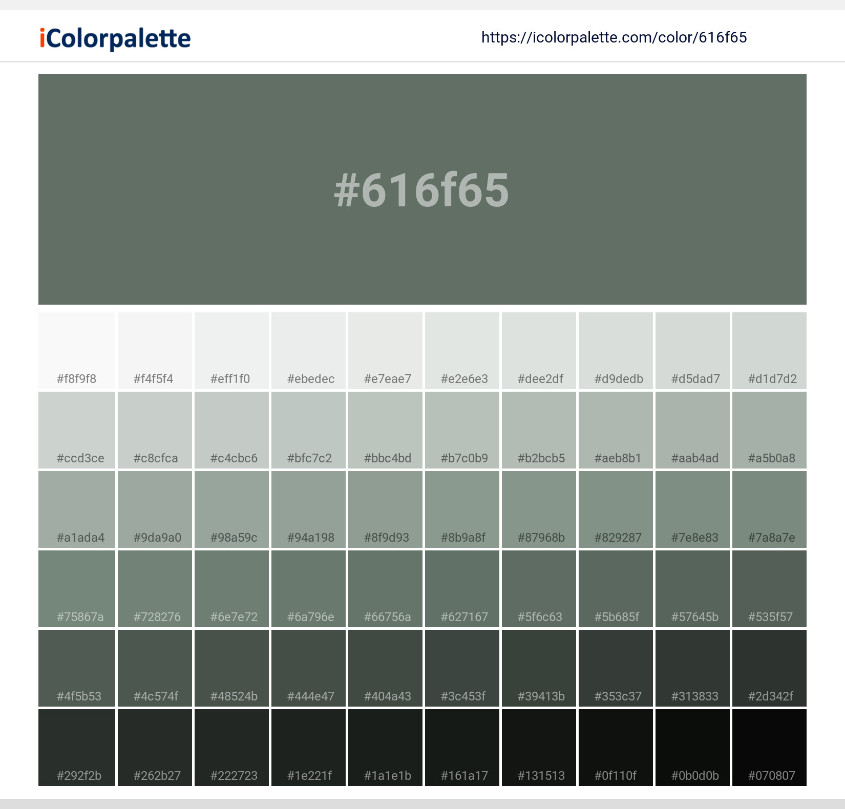 #616f65 Solid Color Image