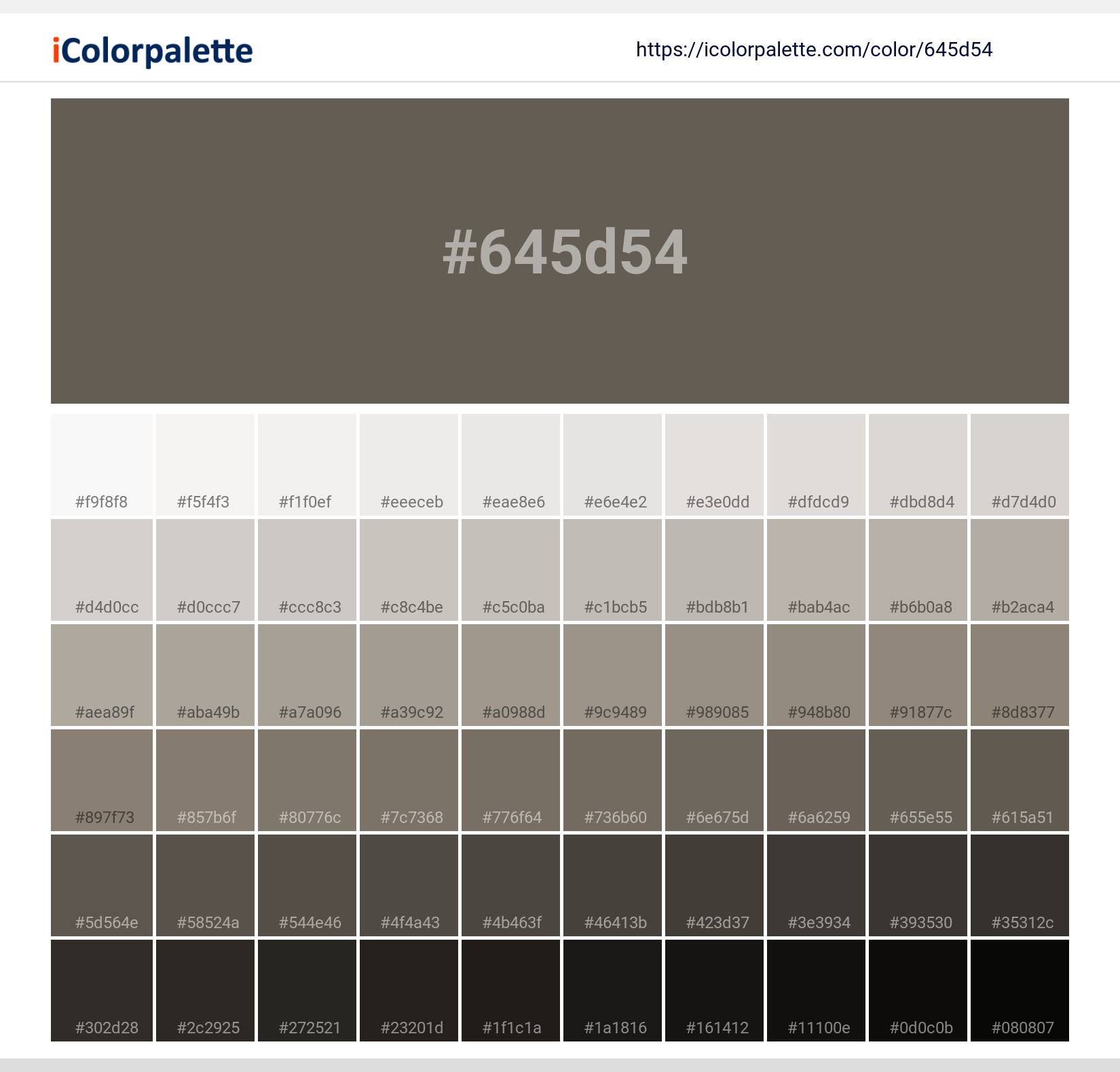 #645d54 Solid Color Image