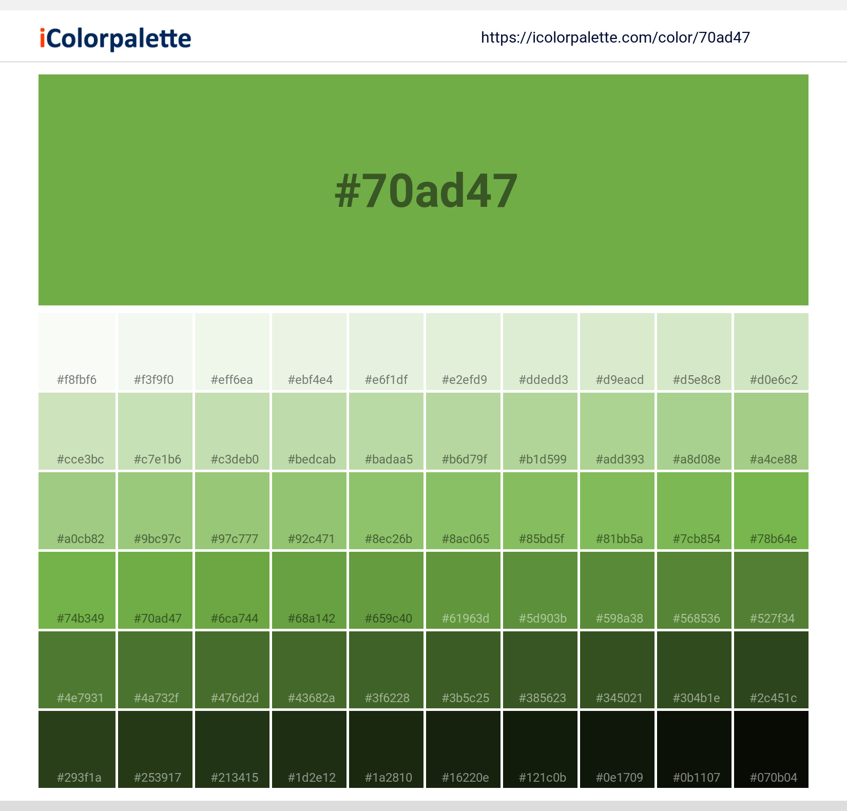 70+ Shades Of Green Color Chart Stock Photos, Pictures & Royalty-Free  Images - iStock