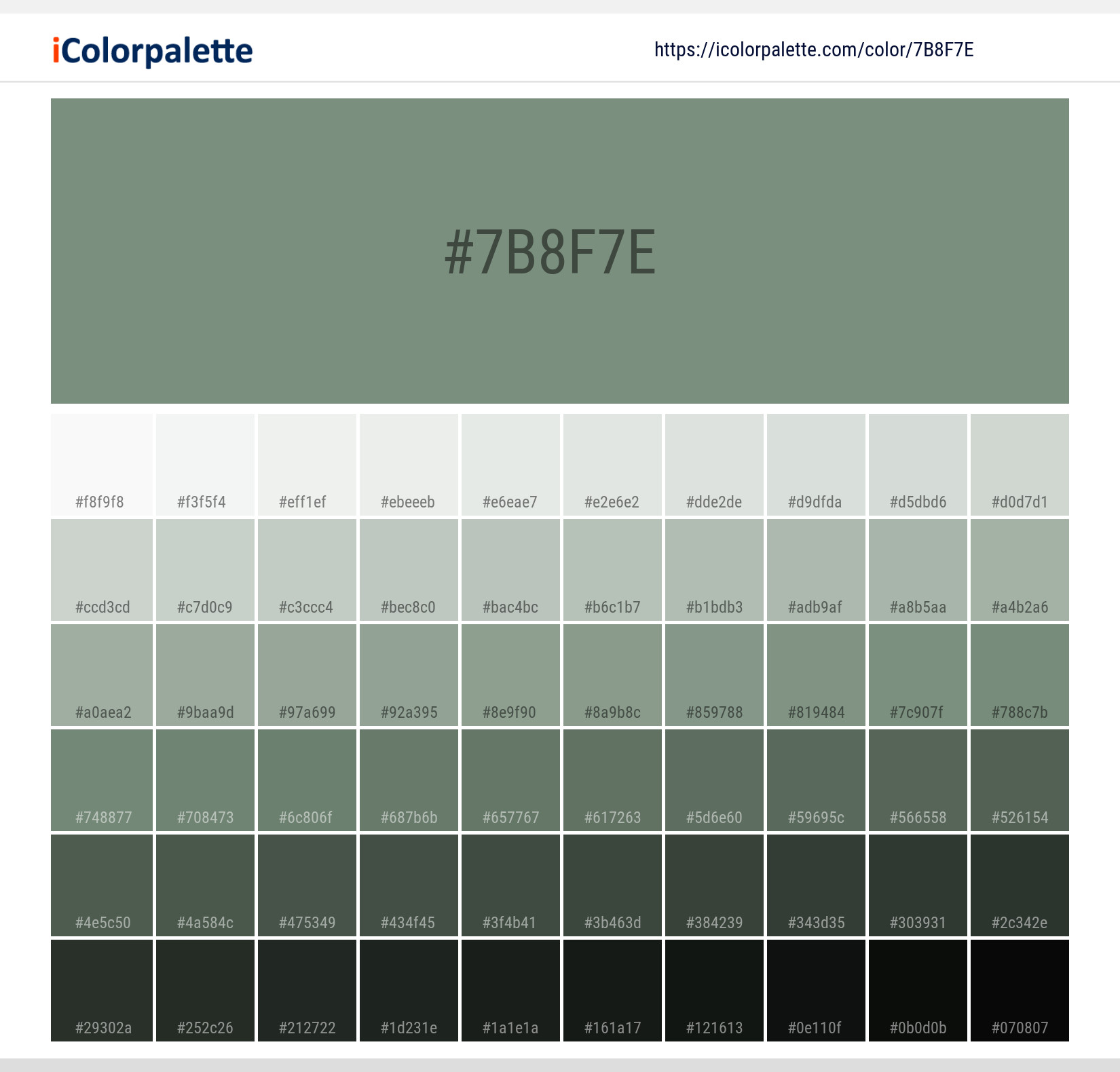 #7b8f7e Solid Color Image
