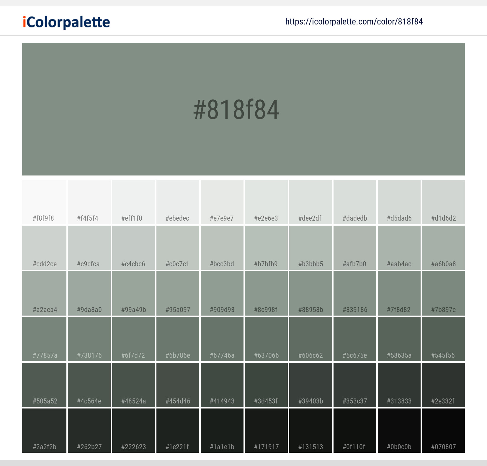 Lily Pad Color Palette | Procreate Palette | Color Swatch