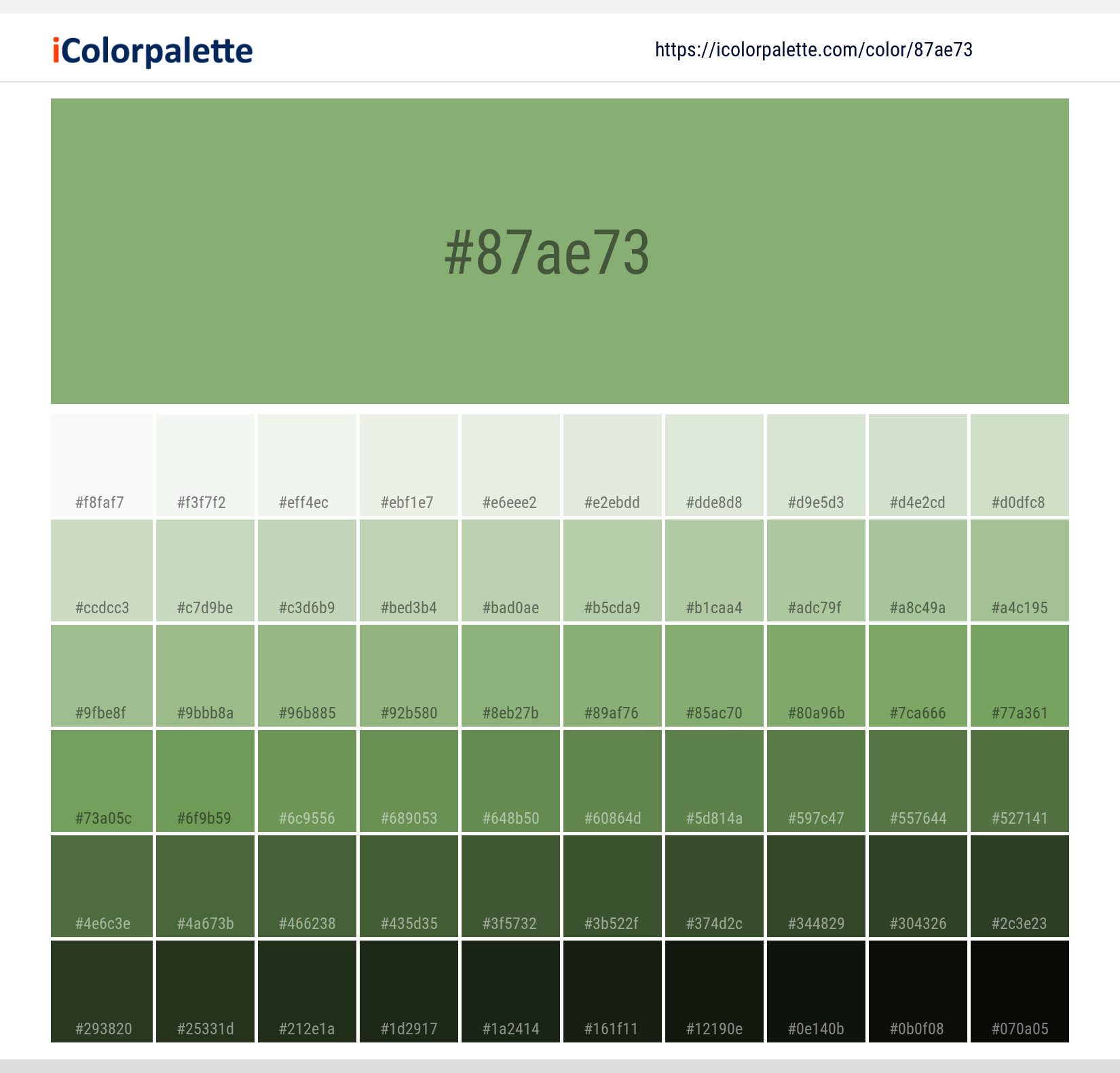 Sage Green Color - Using a Sage Color Palette in Design