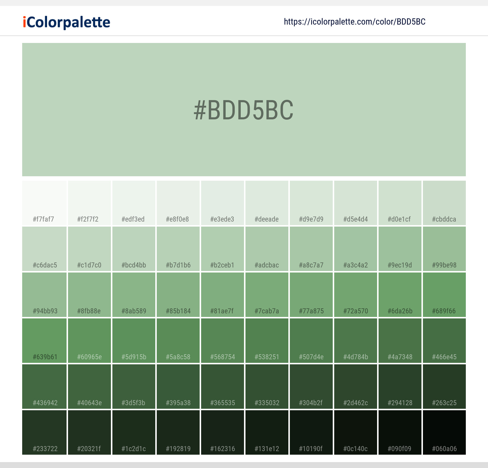 Explore a full range of light and dark shades for Pantone 13-6007 Tpg Spray Color | Hex color Code #bdd5bc. Perfect for finding the exact tint or tone for your artwork or UI design. #colorshades #colorinspiration #webdesign #bdd5bc