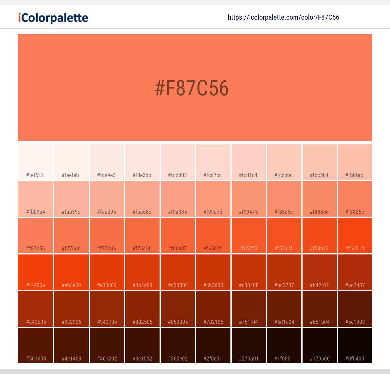 2024 Color Of The Year Hex Codes Kiley Merlina