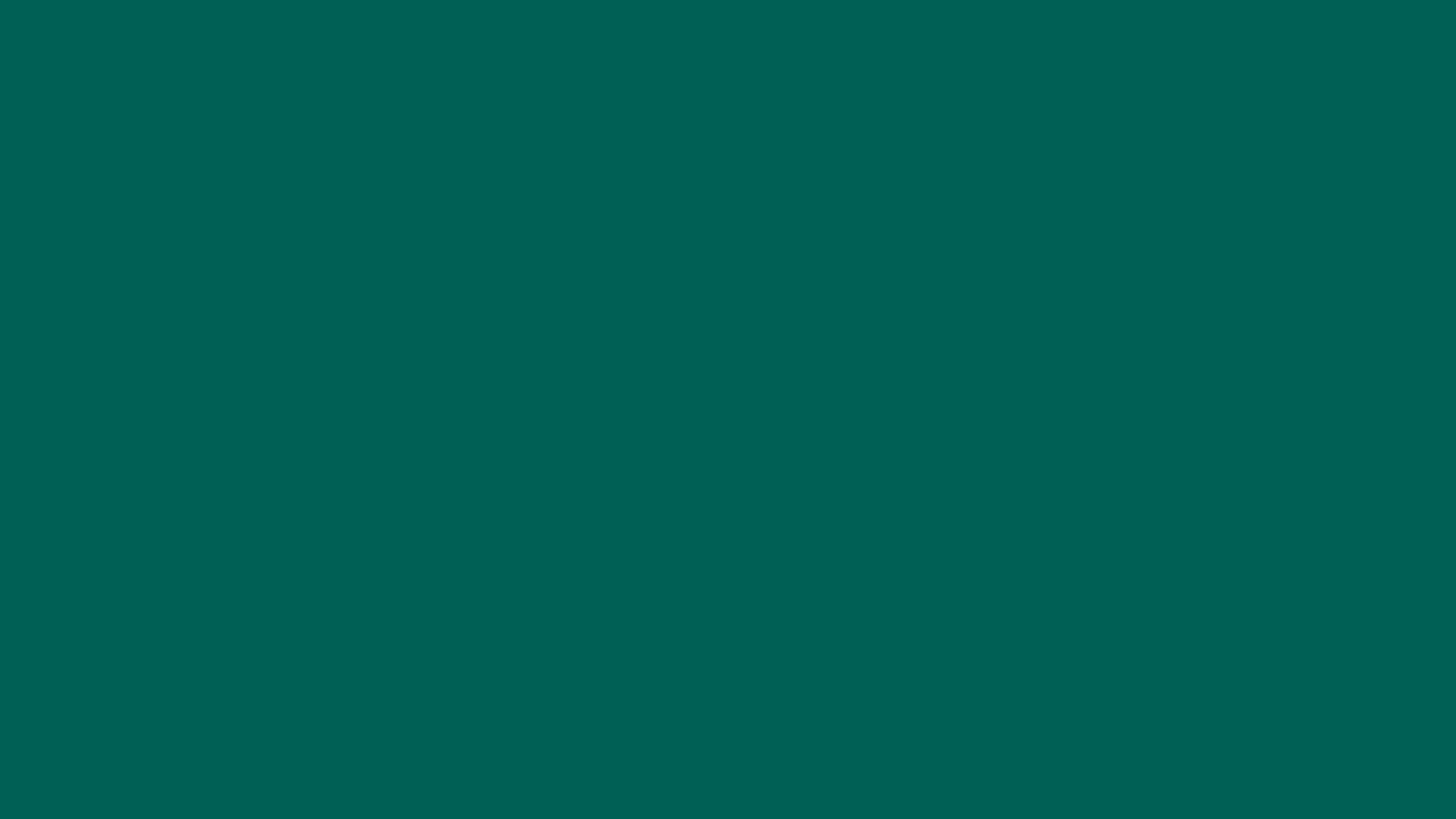 #005f57 Solid Color Image