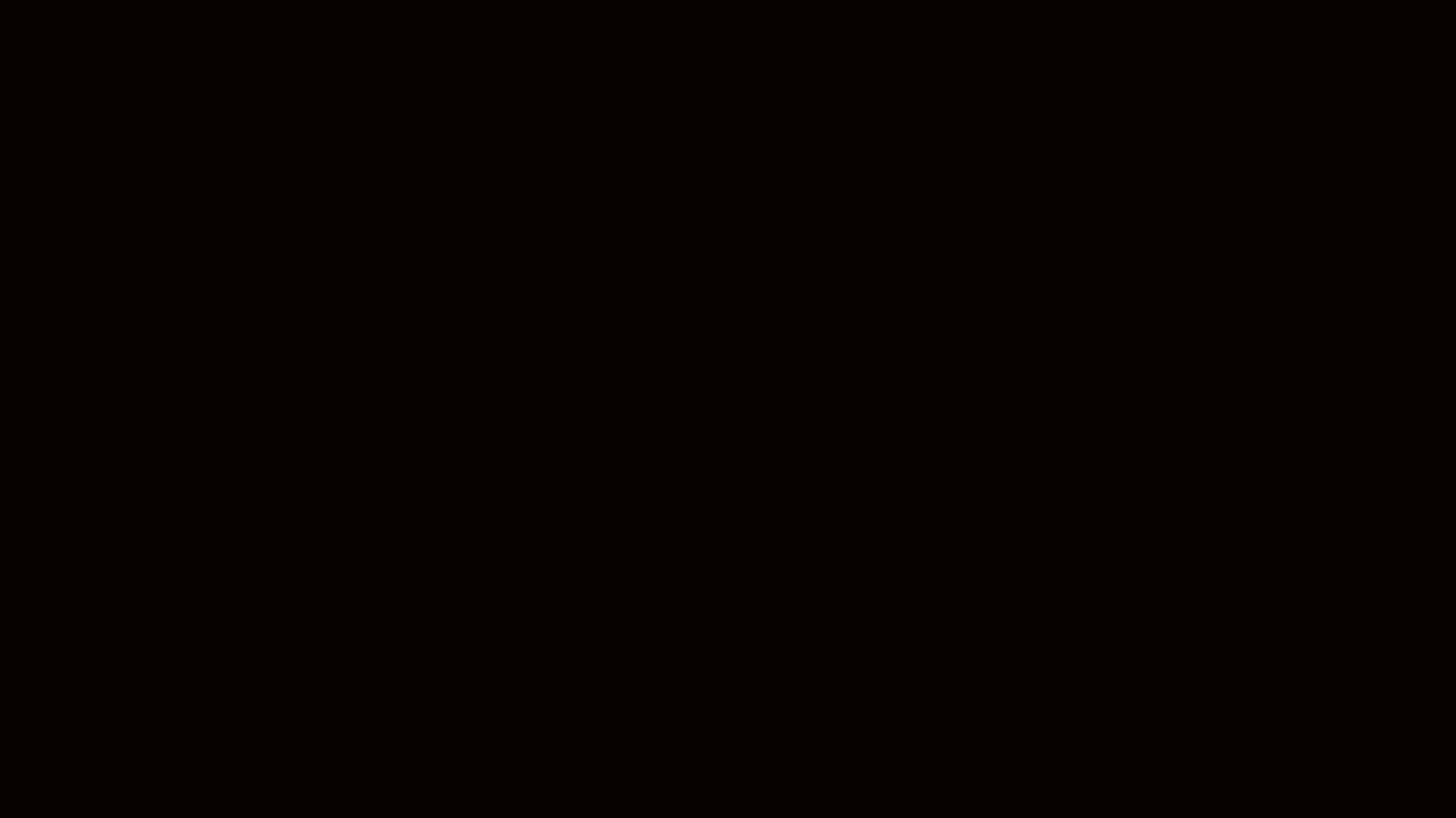 #070200 Solid Color Image