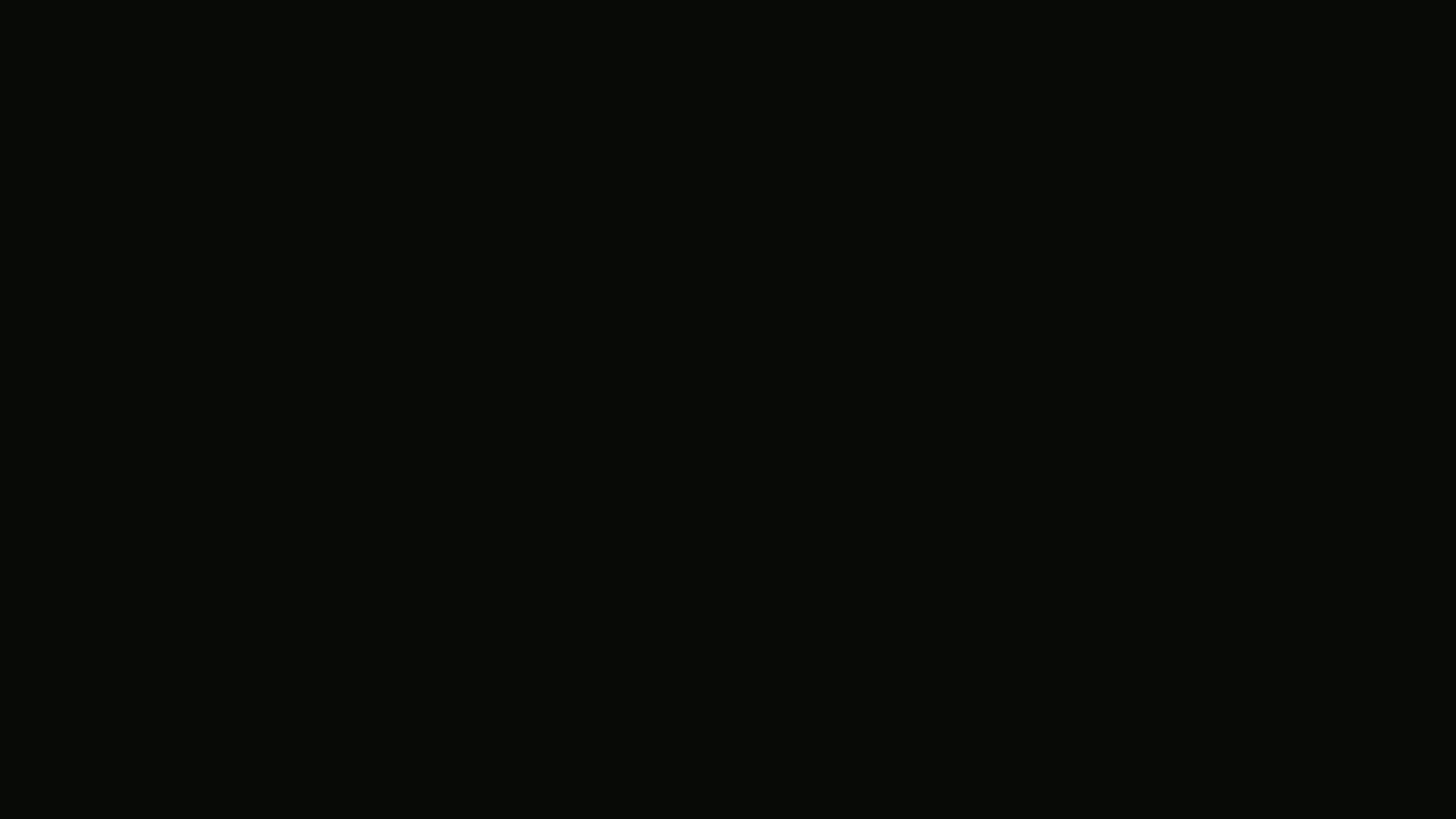 Download a free high-resolution solid color background image of  Darkness (similar) Color | Hex 080a06. Ideal for wallpapers, presentations, and digital art. #solidcolor #backgroundimage #color #080a06