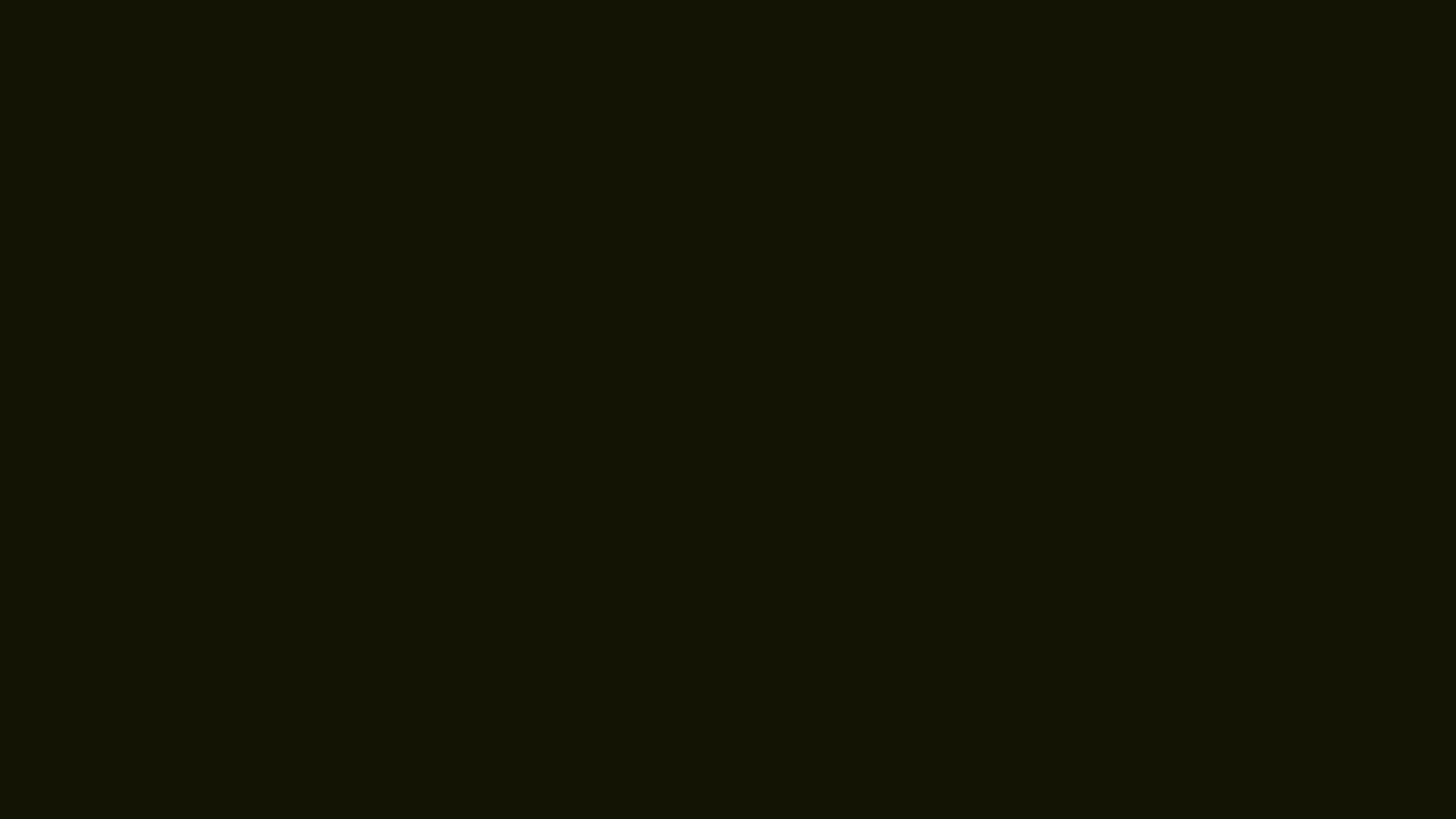Download a free high-resolution solid color background image of  Cannon Black (similar) Color | Hex 141404. Ideal for wallpapers, presentations, and digital art. #solidcolor #backgroundimage #color #141404