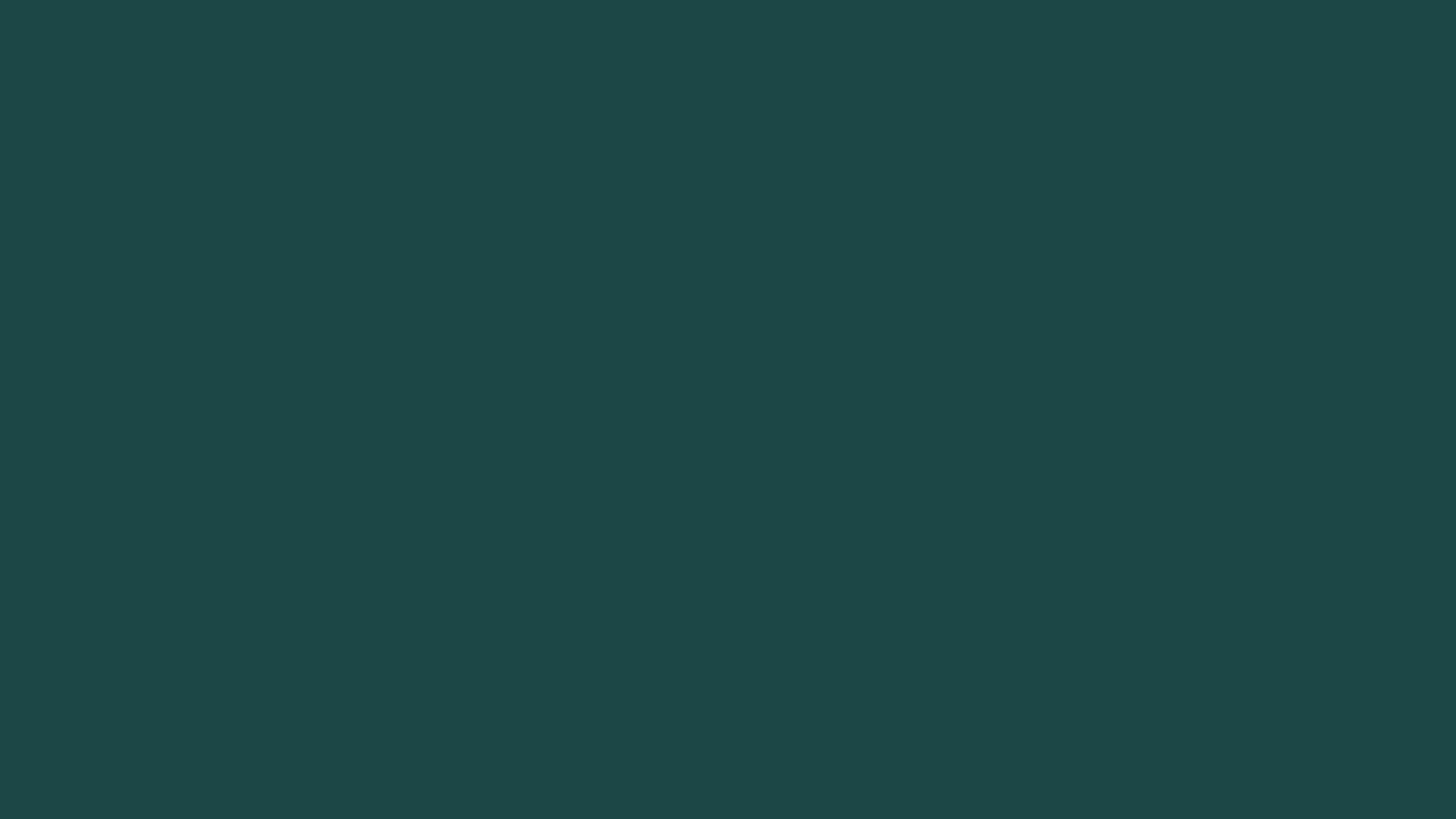 #1c4746 Solid Color Image