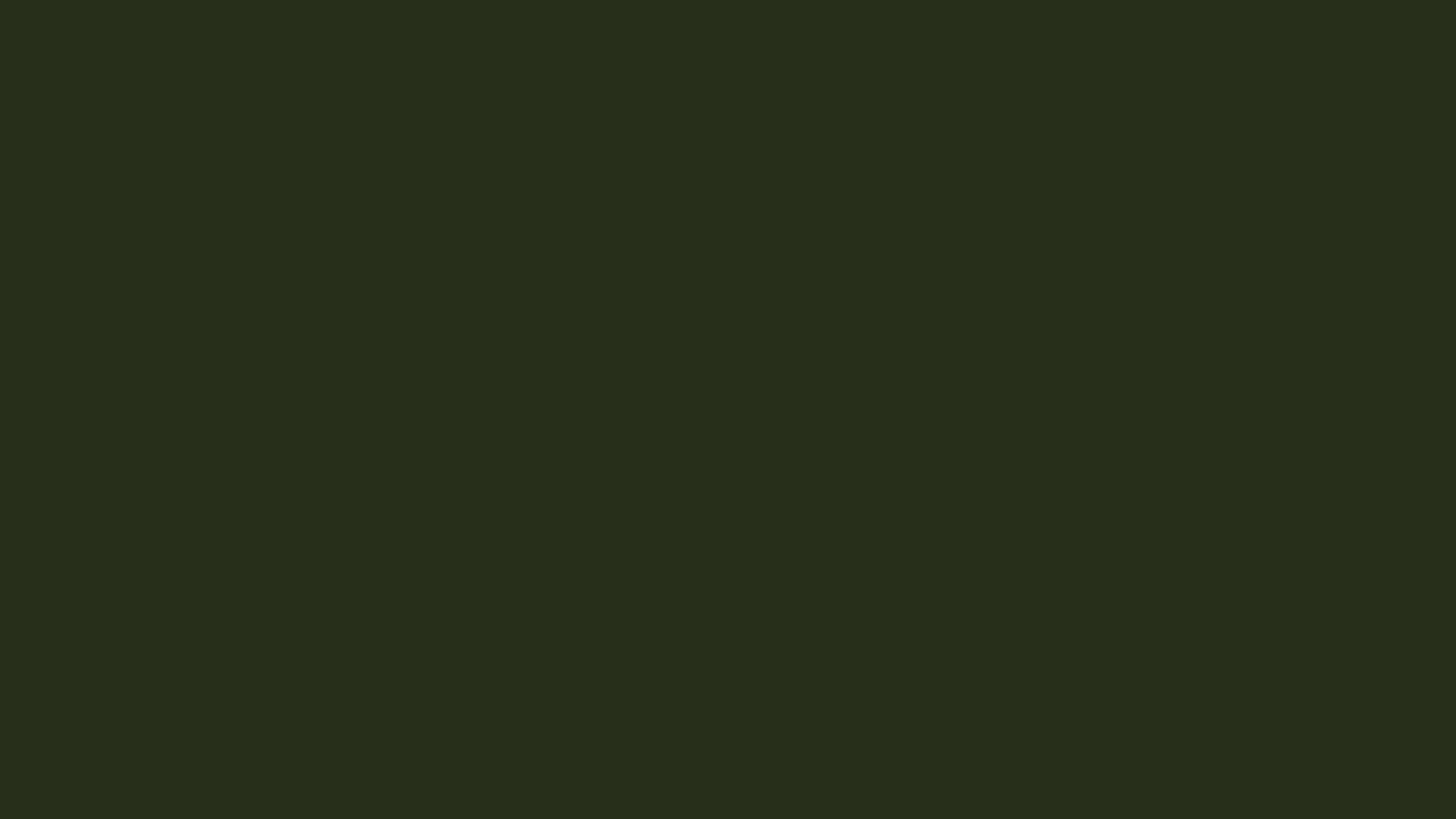 Download a free high-resolution solid color background image of  Black Mesa (similar) Color | Hex 272f1a. Ideal for wallpapers, presentations, and digital art. #solidcolor #backgroundimage #color #272f1a