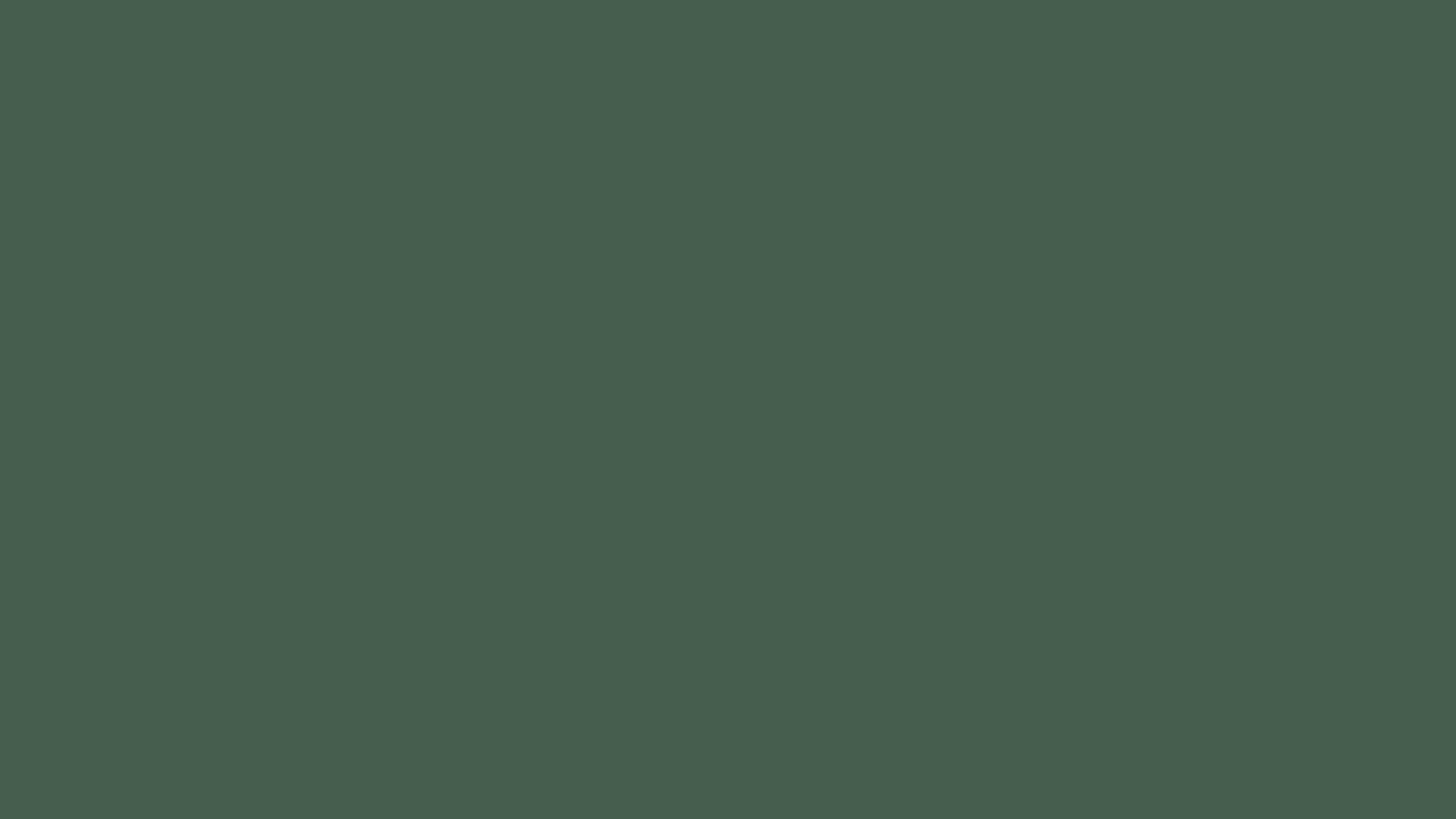 #455e4d Solid Color Image