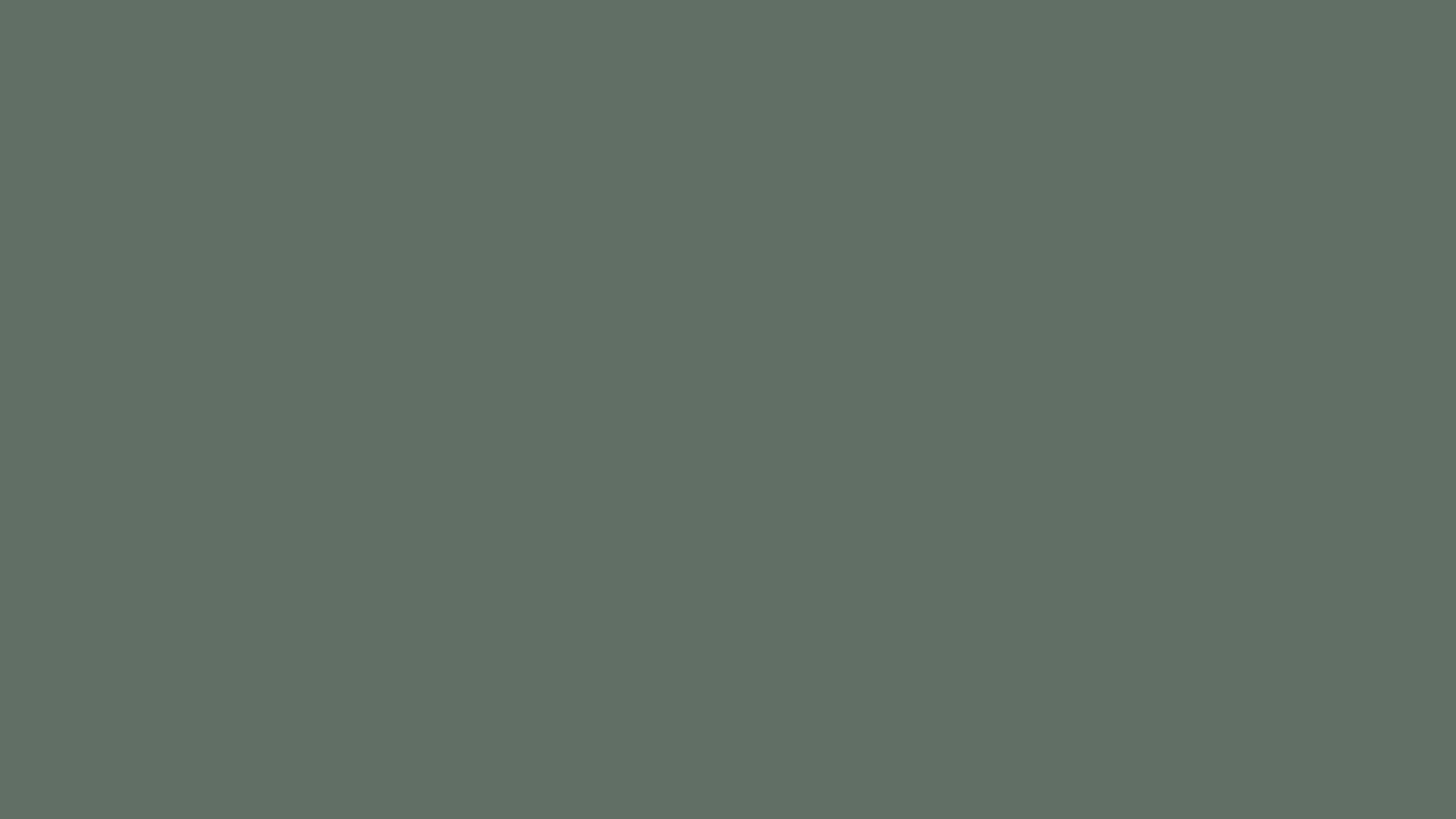 #616f65 Solid Color Image