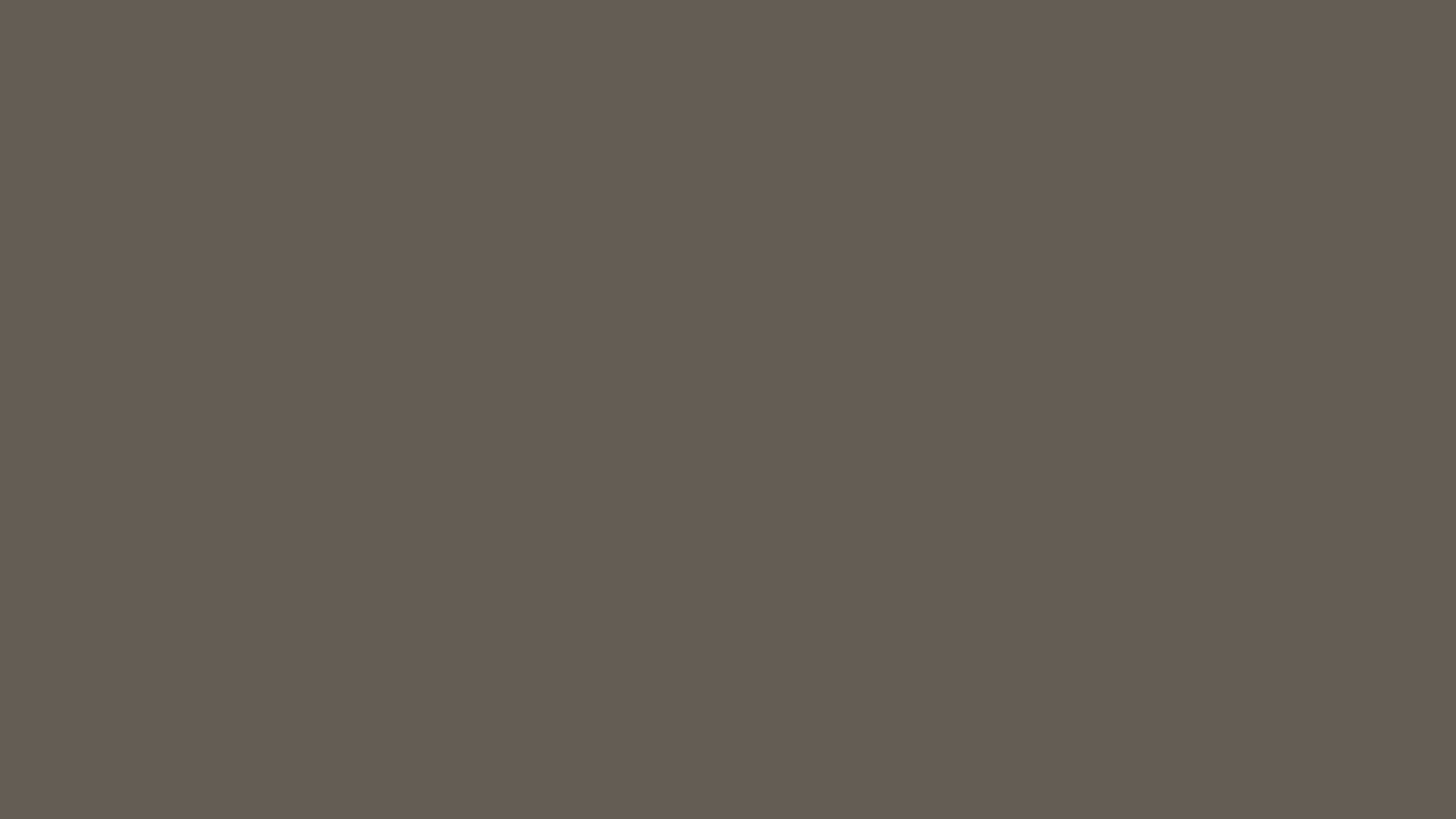 #645d54 Solid Color Image